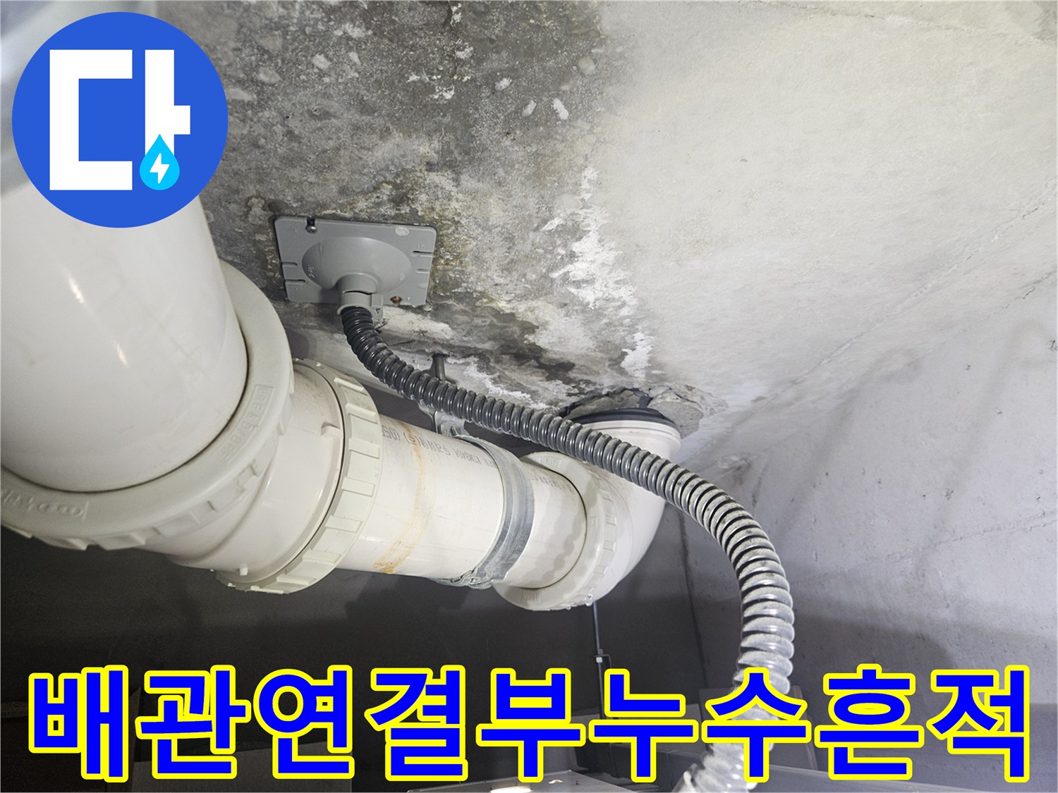 천장 콘크리트 면의 곰팡이와 배관 주변의 오염 상태