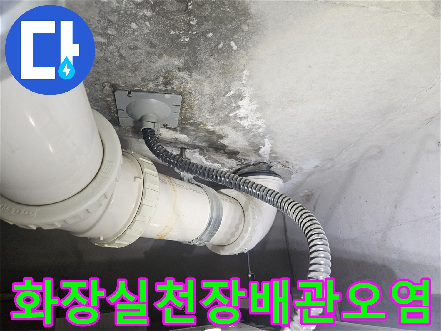 화장실 천장 슬라브의 배관 주변 곰팡이와 물자국 상태