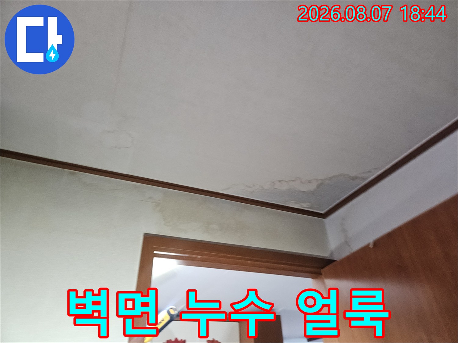 파주 문산 아파트 벽면 하단에 발생한 누수 흔적과 습기로 인한 변색 상태입니다.