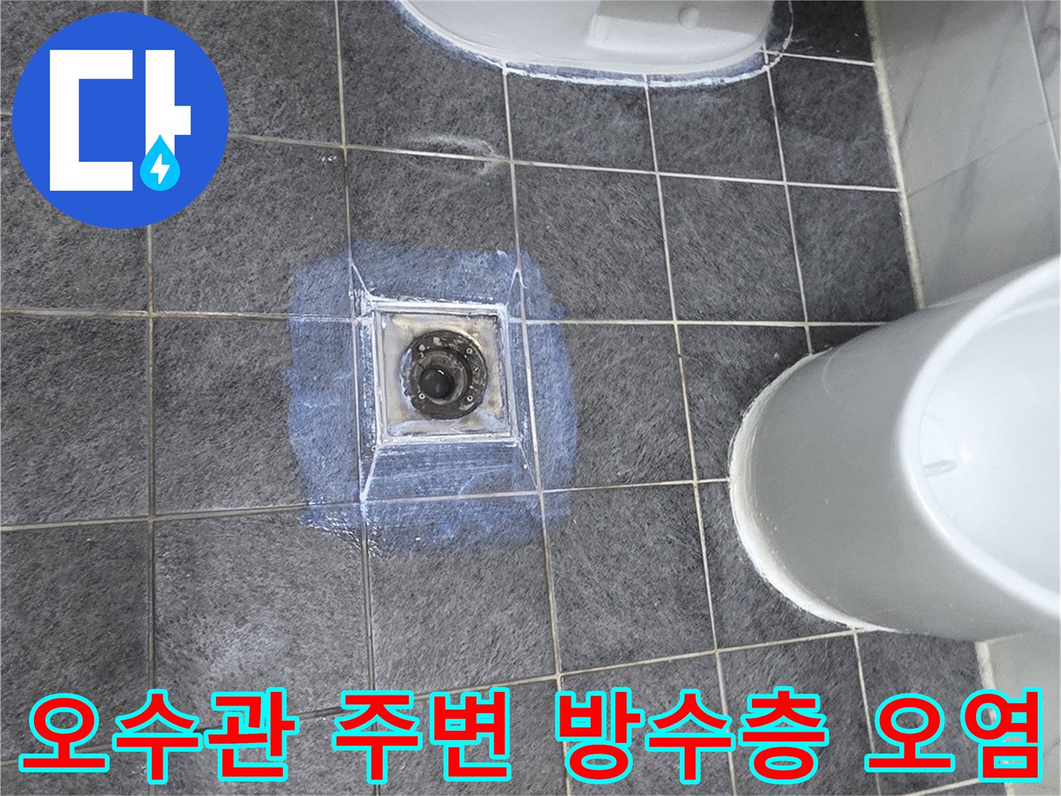 오수 배출관 주변의 젖어있는 타일과 오염된 부위