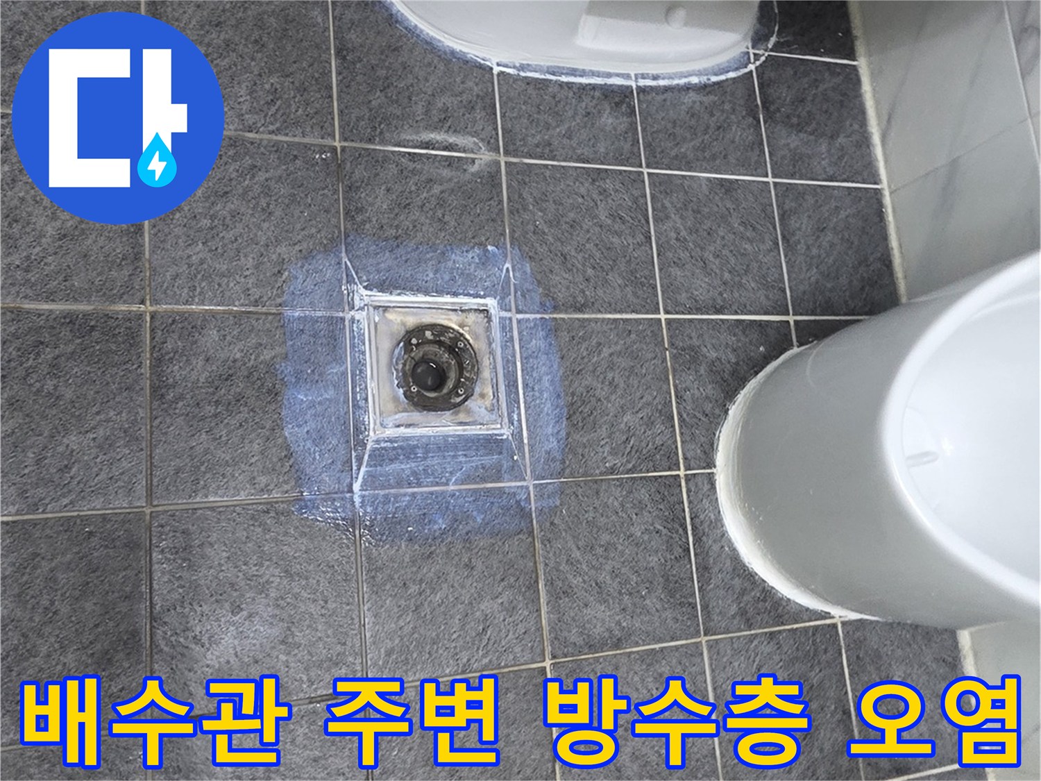화장실 배수구 주변의 젖은 타일과 오염된 배관