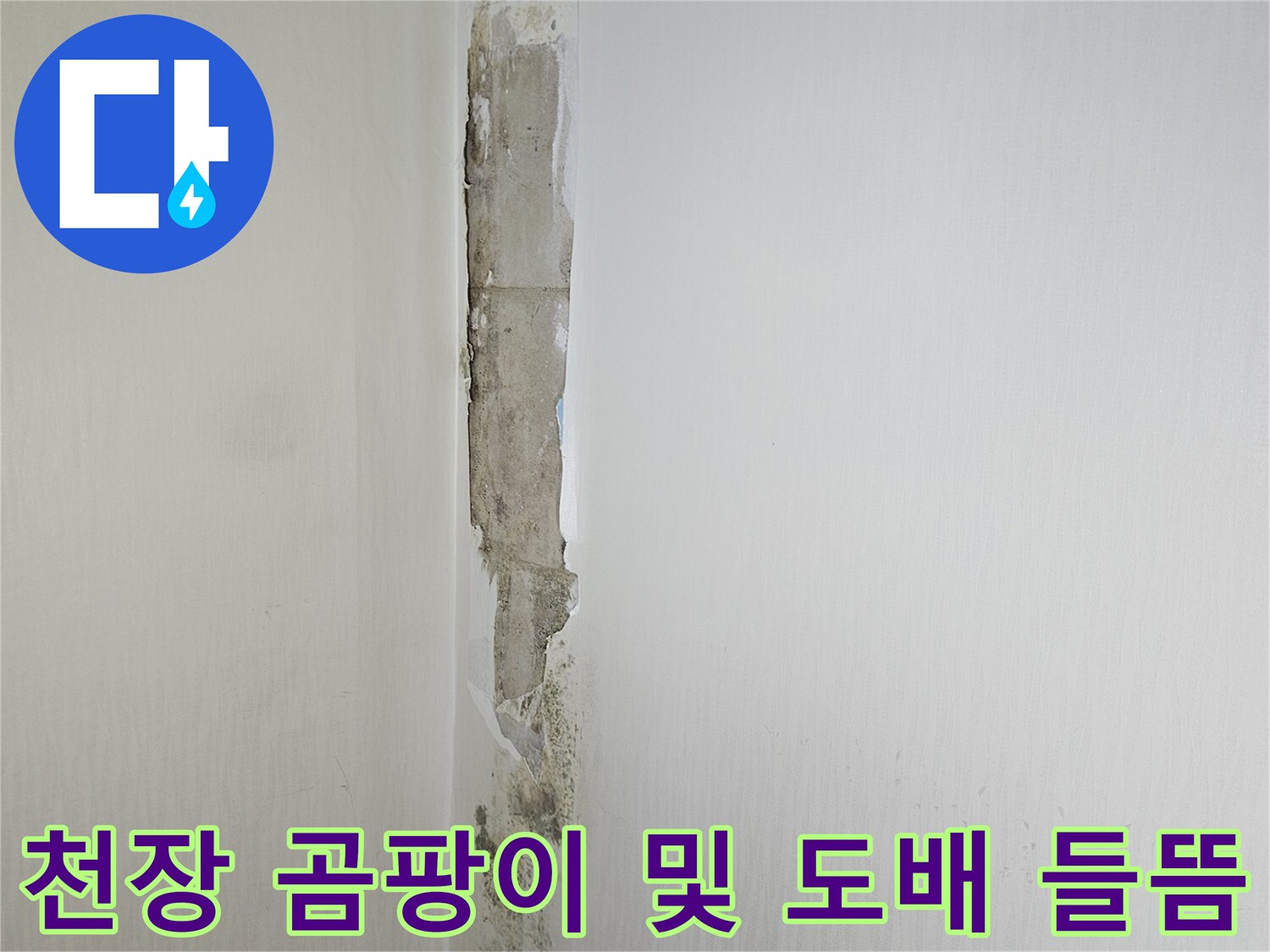 곰팡이가-발생한-화장실-천장-경계-부분