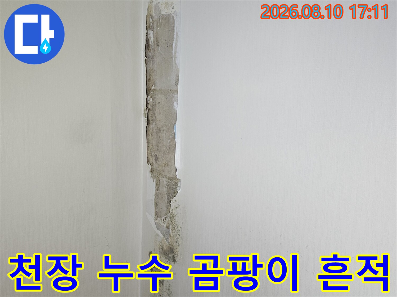 누수로 인해 물에 젖고 곰팡이가 발생한 화장실 천장 부근
