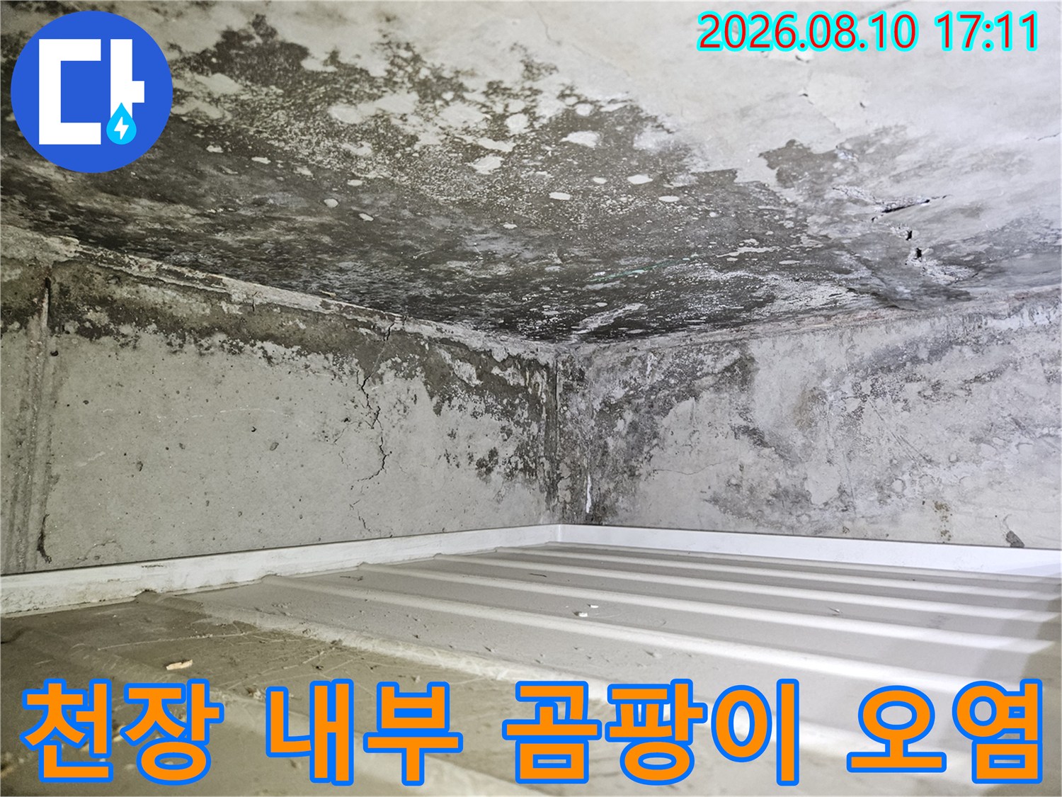 습기로 인해 검게 변한 천장 안쪽 콘크리트 벽면의 곰팡이 상태