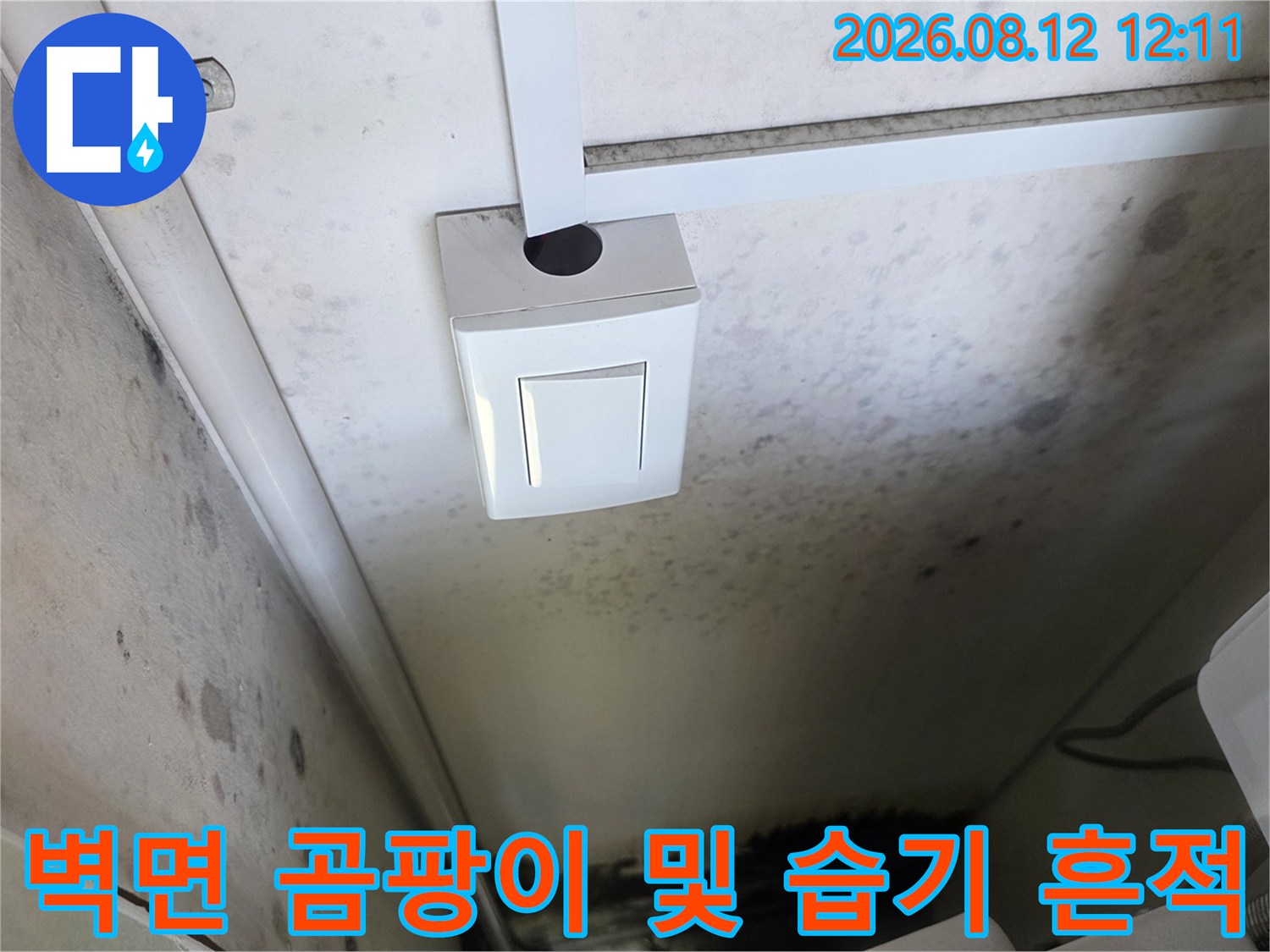 배관 주변 벽면에 나타난 검은 곰팡이와 수분 침투 흔적을 촬영한 사진입니다.