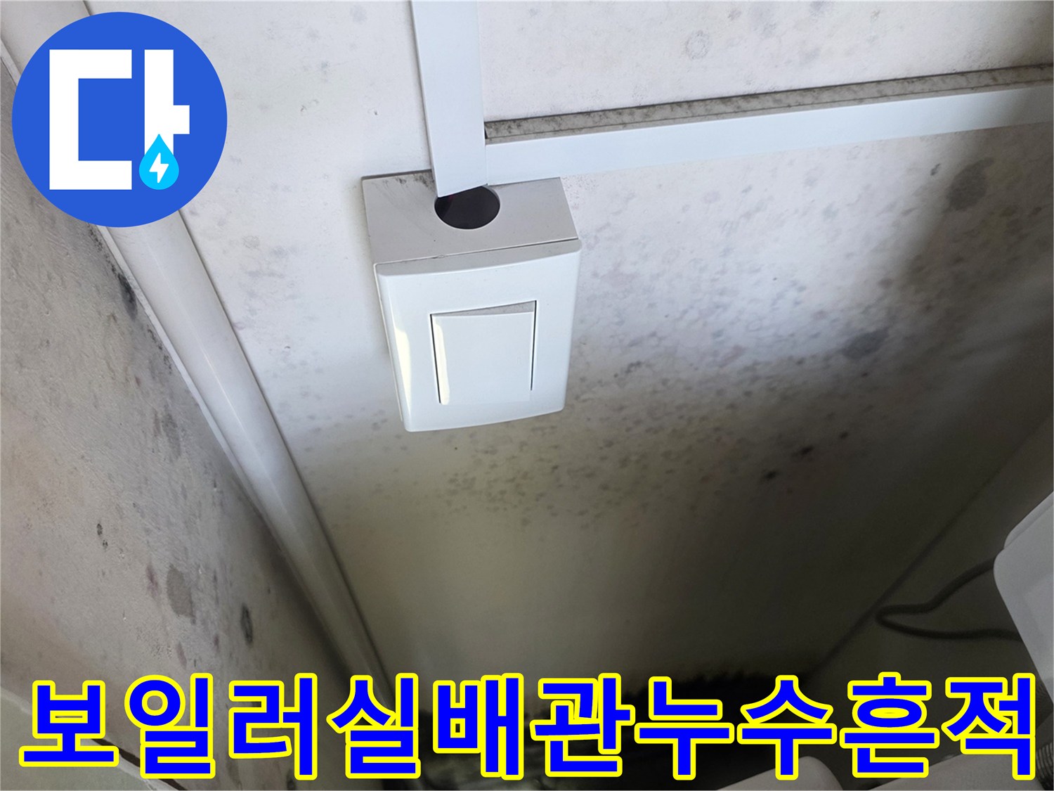 배관-주변의-광범위한-곰팡이와-습기-오염