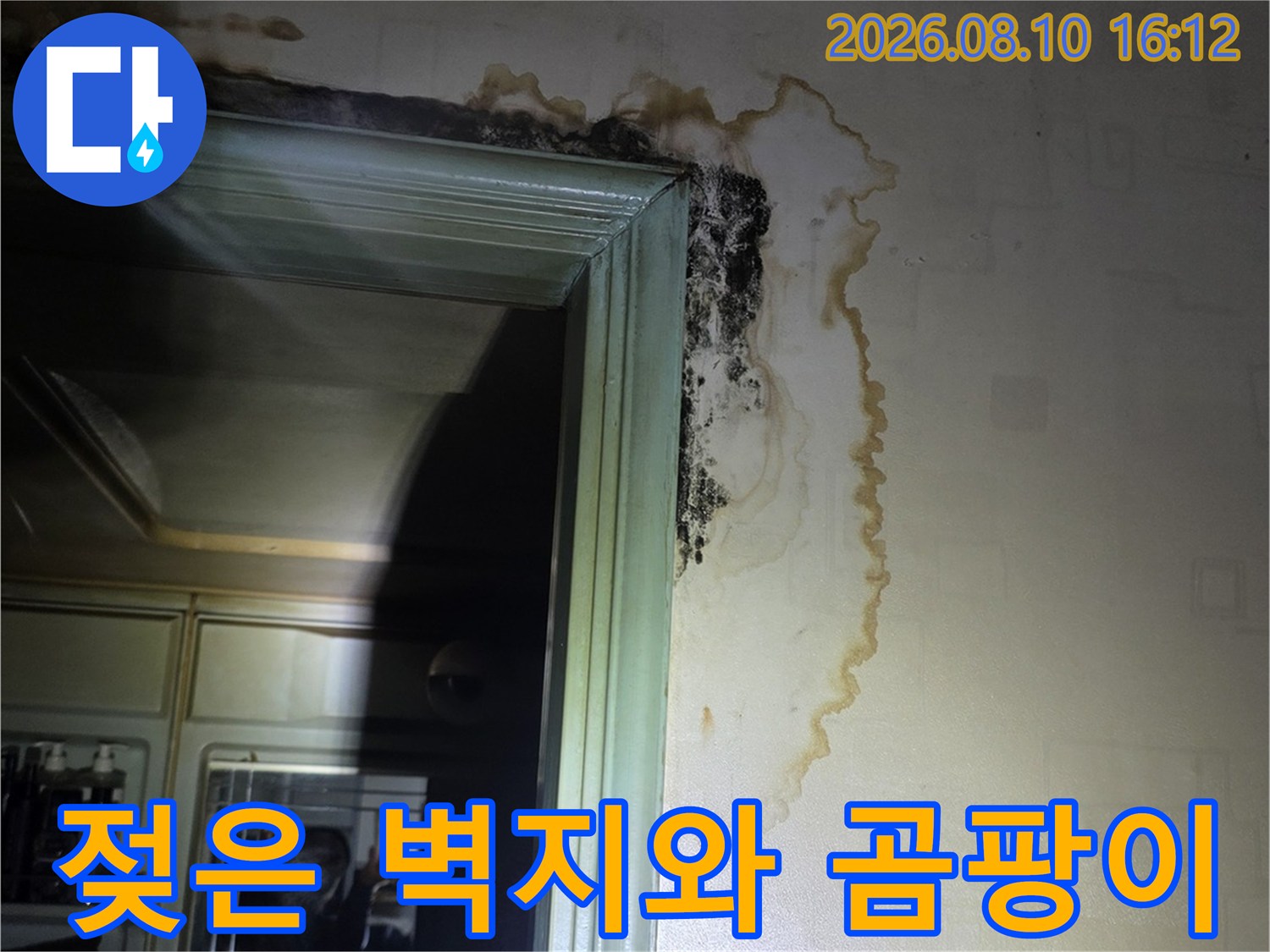 문틀 상단 벽지에 나타난 누수 물자국과 곰팡이 발생 부위