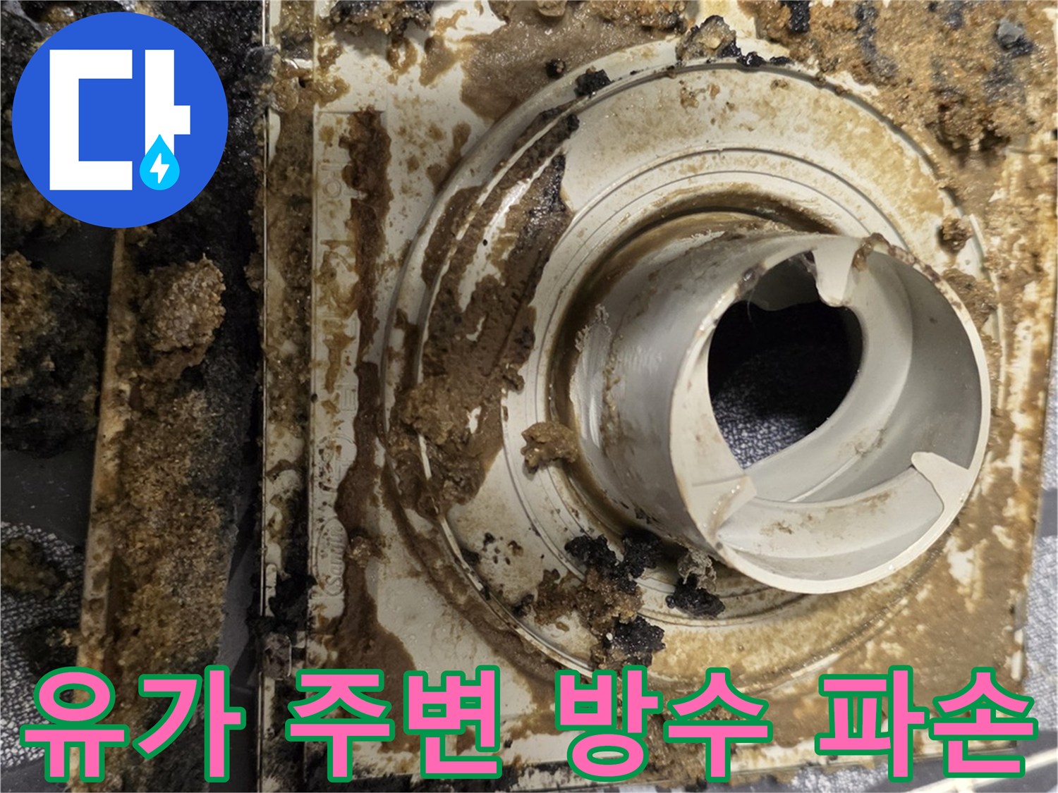 욕실 유가 주변의 부식된 방수층과 오염된 상태 - 누수 원인 확인