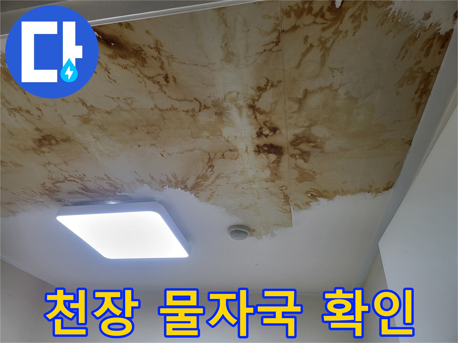 상월곡동-주거시설-천장-누수-변색-부위