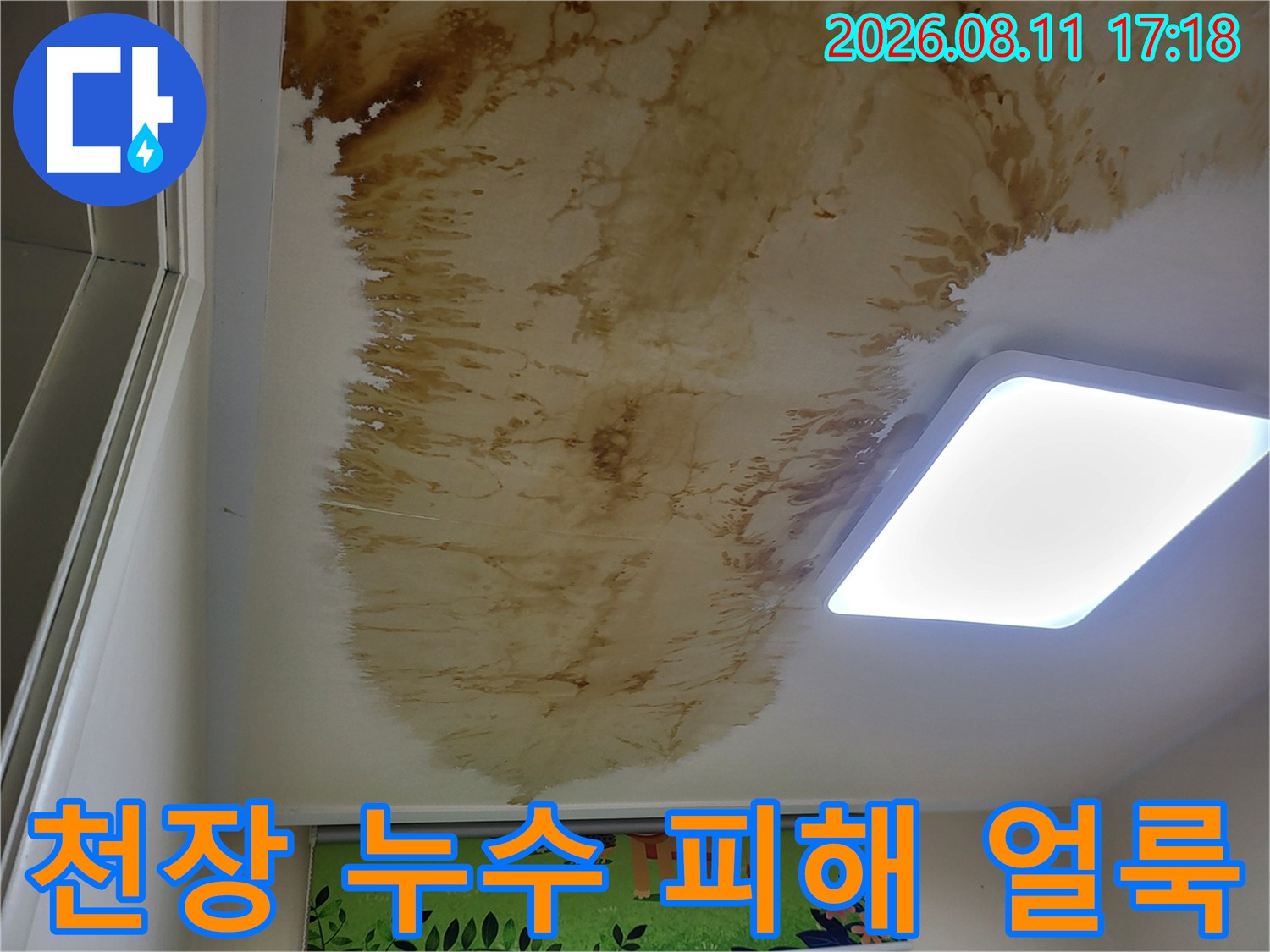 상월곡동 현장-천장 석고보드 위로 번진 넓은 범위의 누수 자국