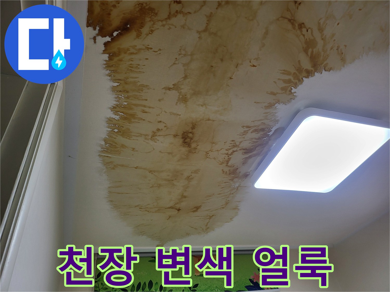 성북구 상월곡동 아랫집 천장에 발생한 갈색 누수 흔적과 변색 상태