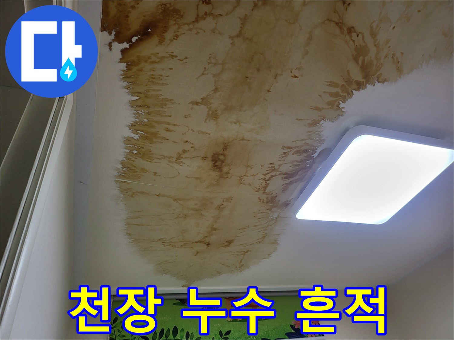 성북구 상월곡동-천장 마감재의 광범위한 변색 부위