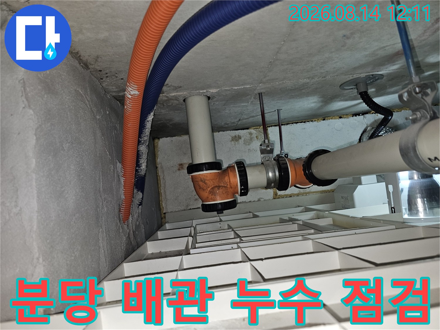 분당 백현동 아파트 천장 내부의 오렌지색과 파란색 주름관 및 하수 배관 상태를 확인하는 모습입니다.