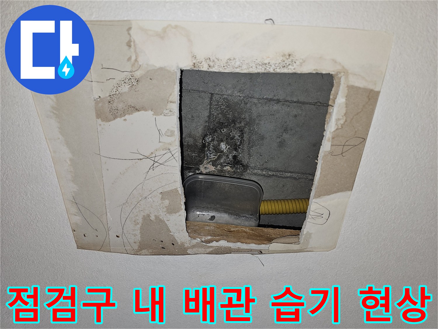 아파트-천장-내부-배관-주변-젖음-현상