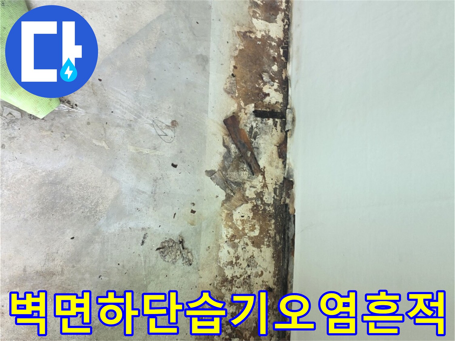 아파트-내부-벽면-하단부에-갈색-얼룩과-곰팡이가-심하게-퍼져있는-상태