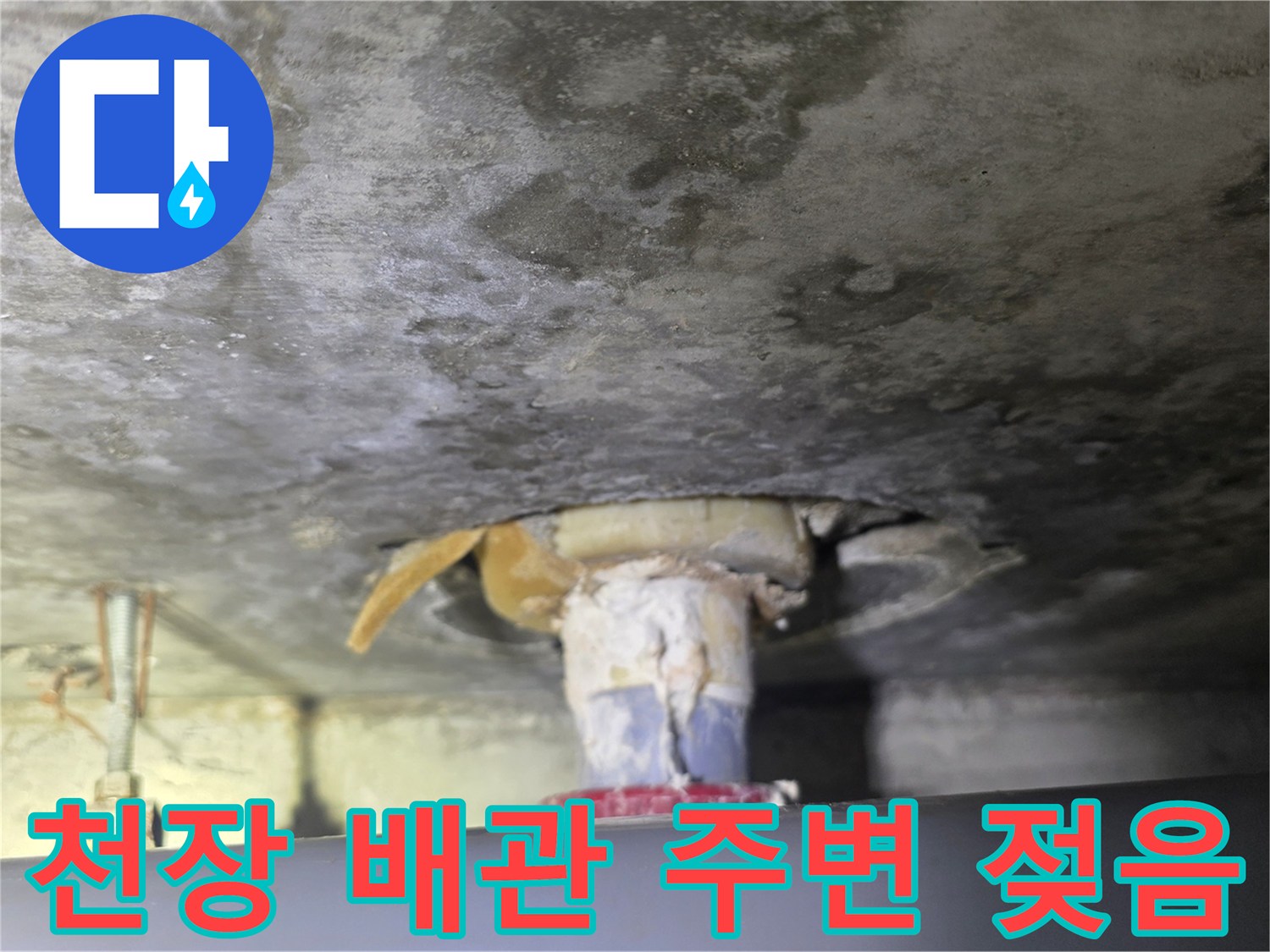 배수관 연결 지점-콘크리트 틈새-누수 흔적 발견