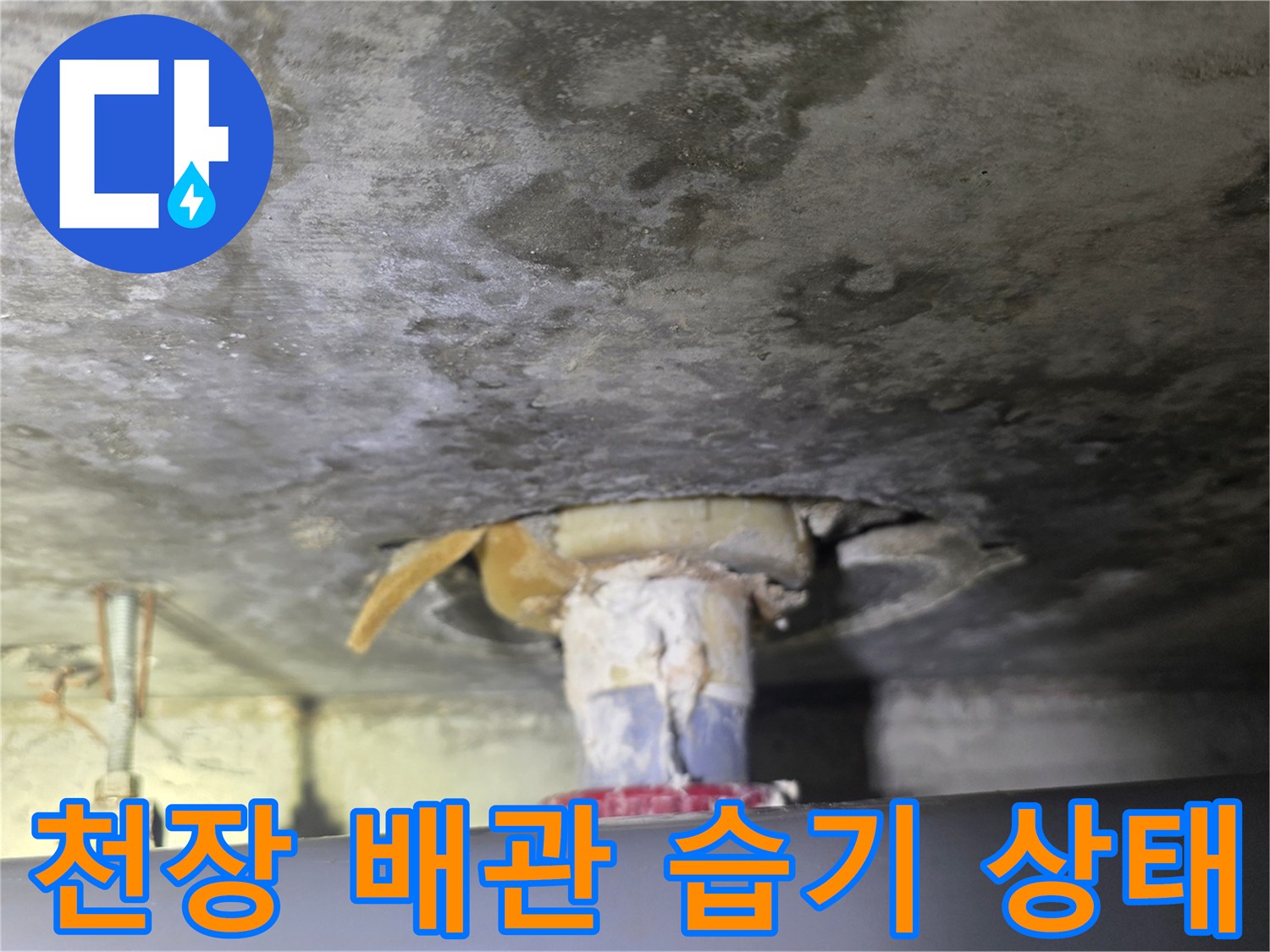 화장실 천장-배수 배관-누수 발생 지점
