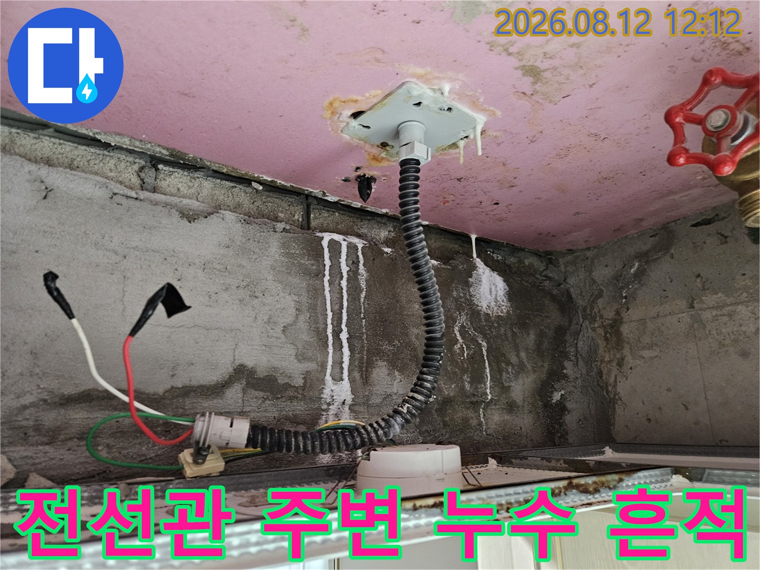 양주 옥정동 현장-천장 전선관 주변의 하얀 누수 자국과 배관 상태