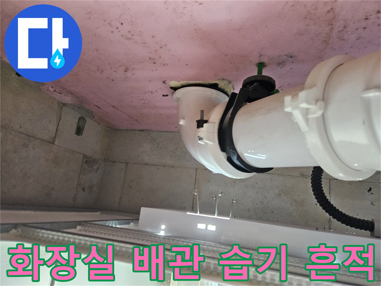 양주 옥정동 화장실 천장 내 배관 주변의 습기와 오염 상태를 보여주는 사진입니다.