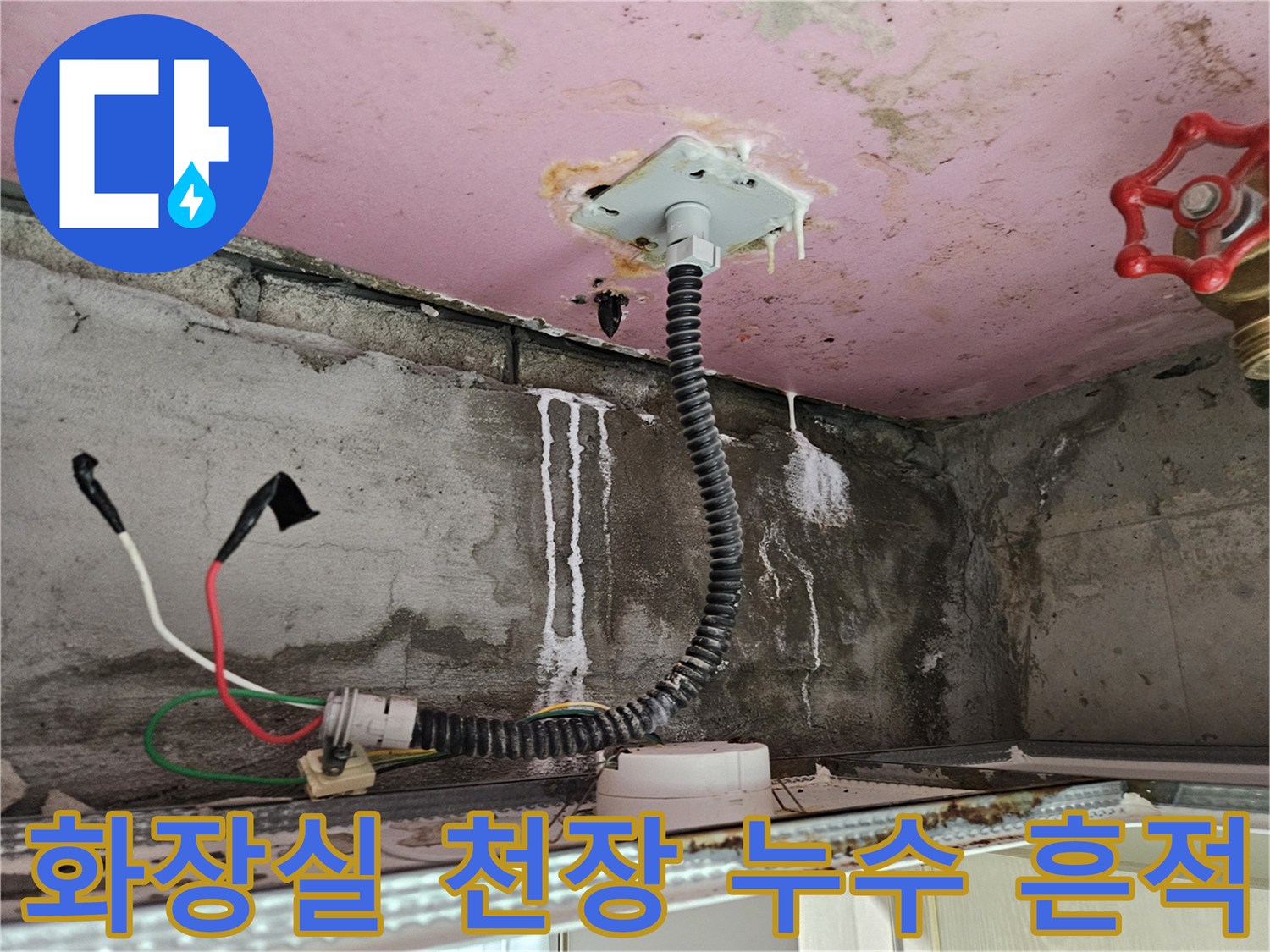 양주 옥정동 화장실-천장 내부 배관 주변의 하얀 석회 고드름과 물자국