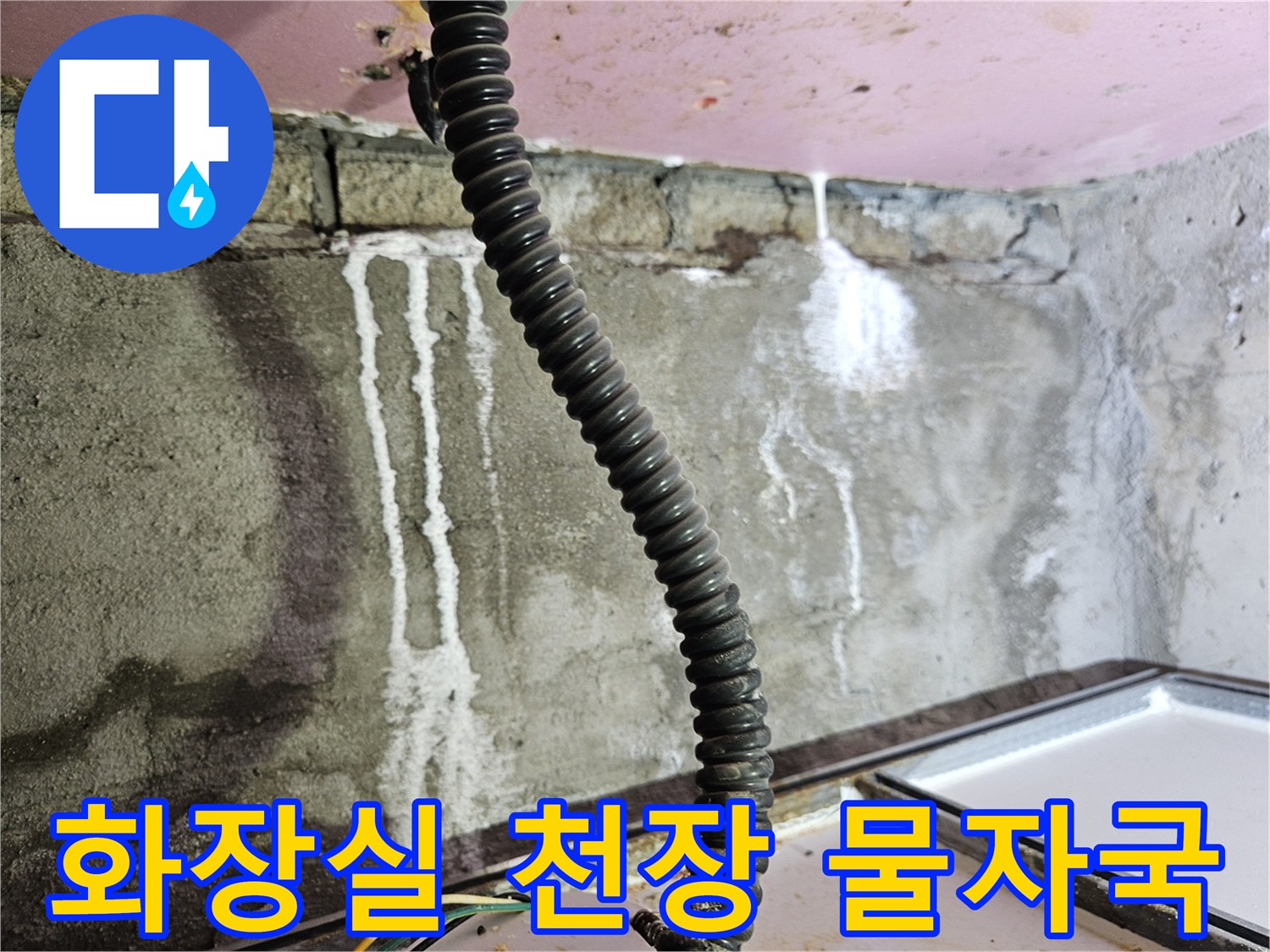 양주 옥정동 화장실-천장 내부의 석회 침출물과 물자국 상태