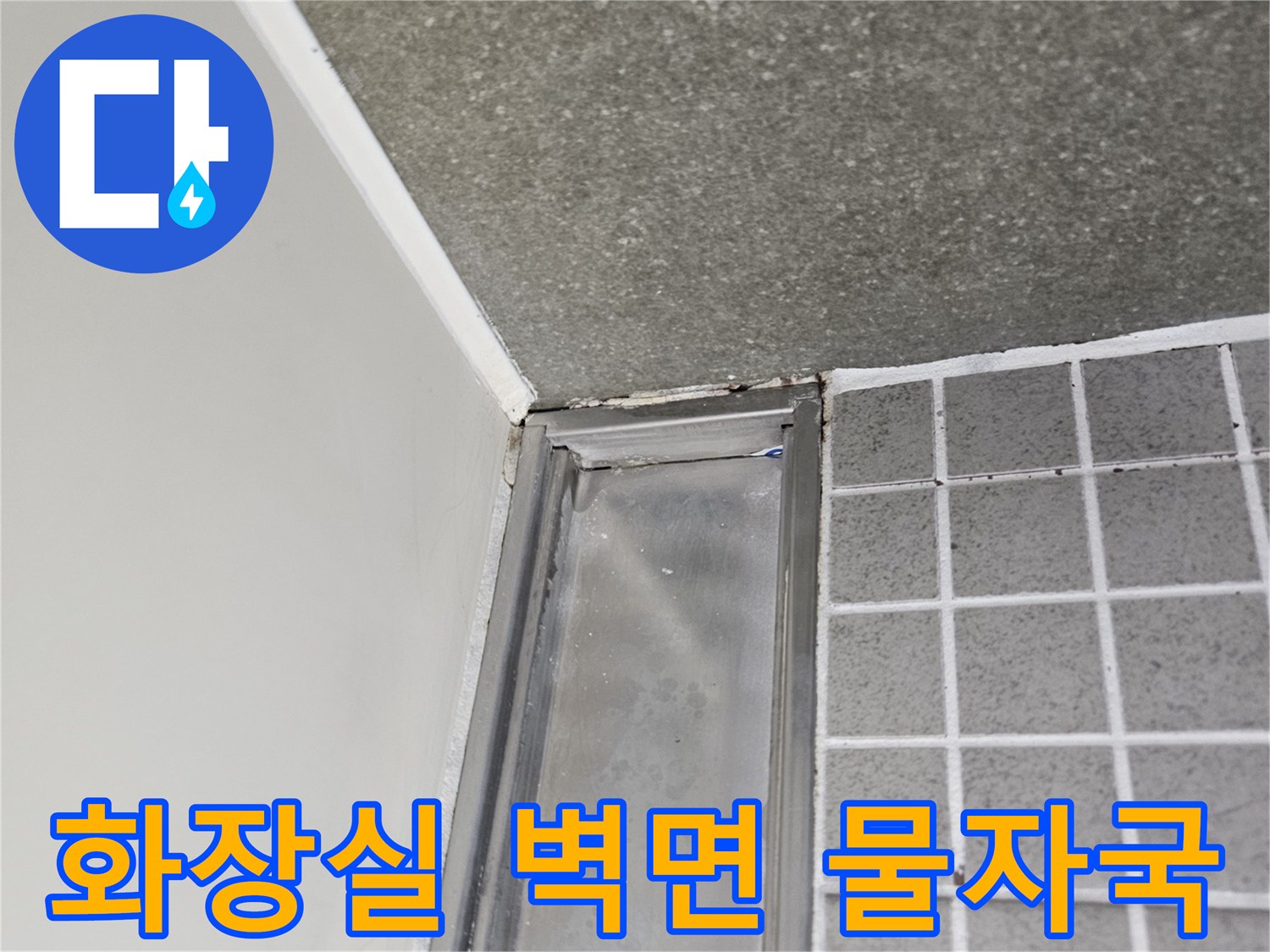 양주 옥정동-화장실 천장 부근의 습기와 타일 사이 물자국 확인