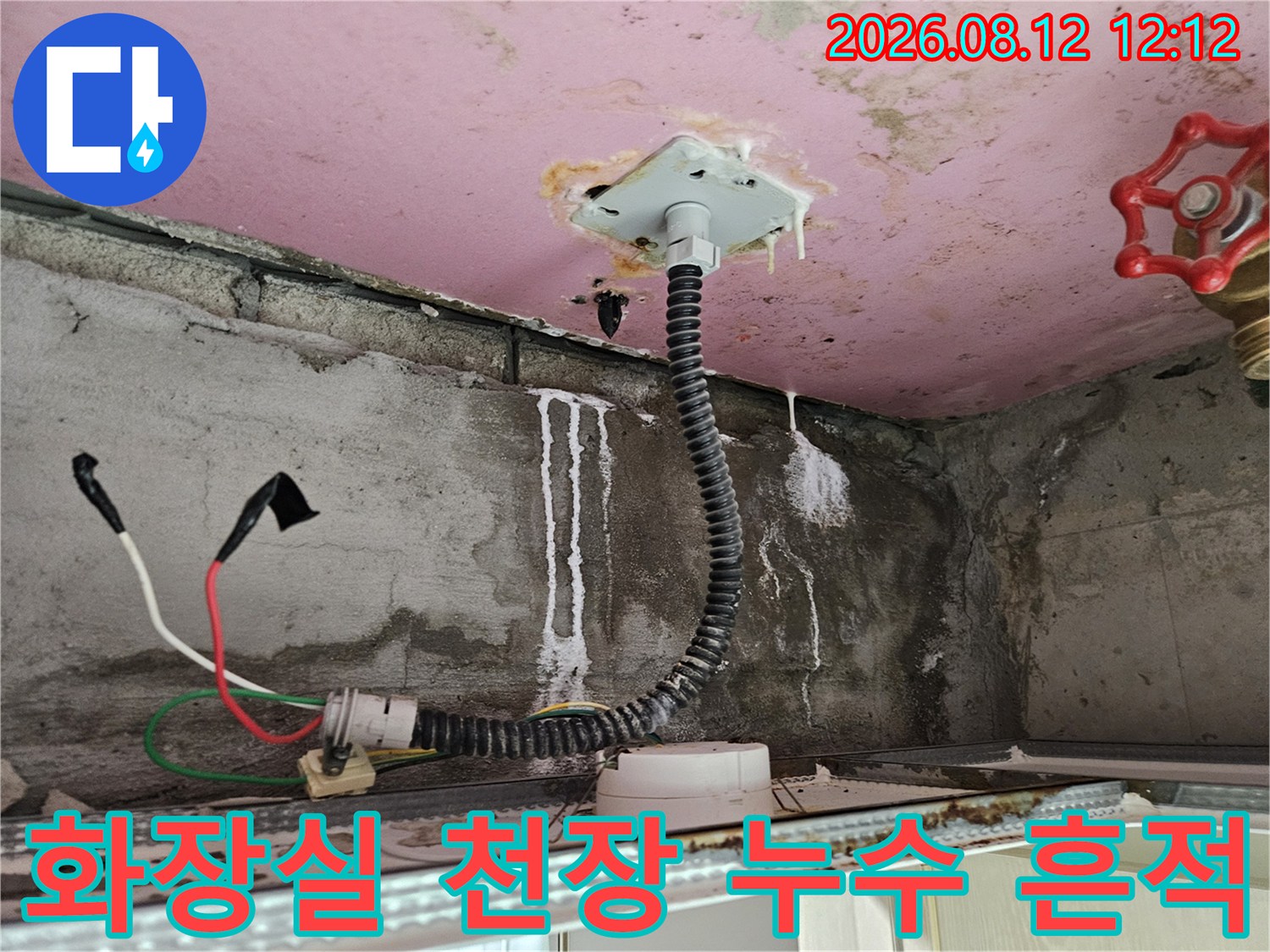 양주 옥정동 화장실 천장에서 발견된 배관 주변 누수 자국과 얼룩