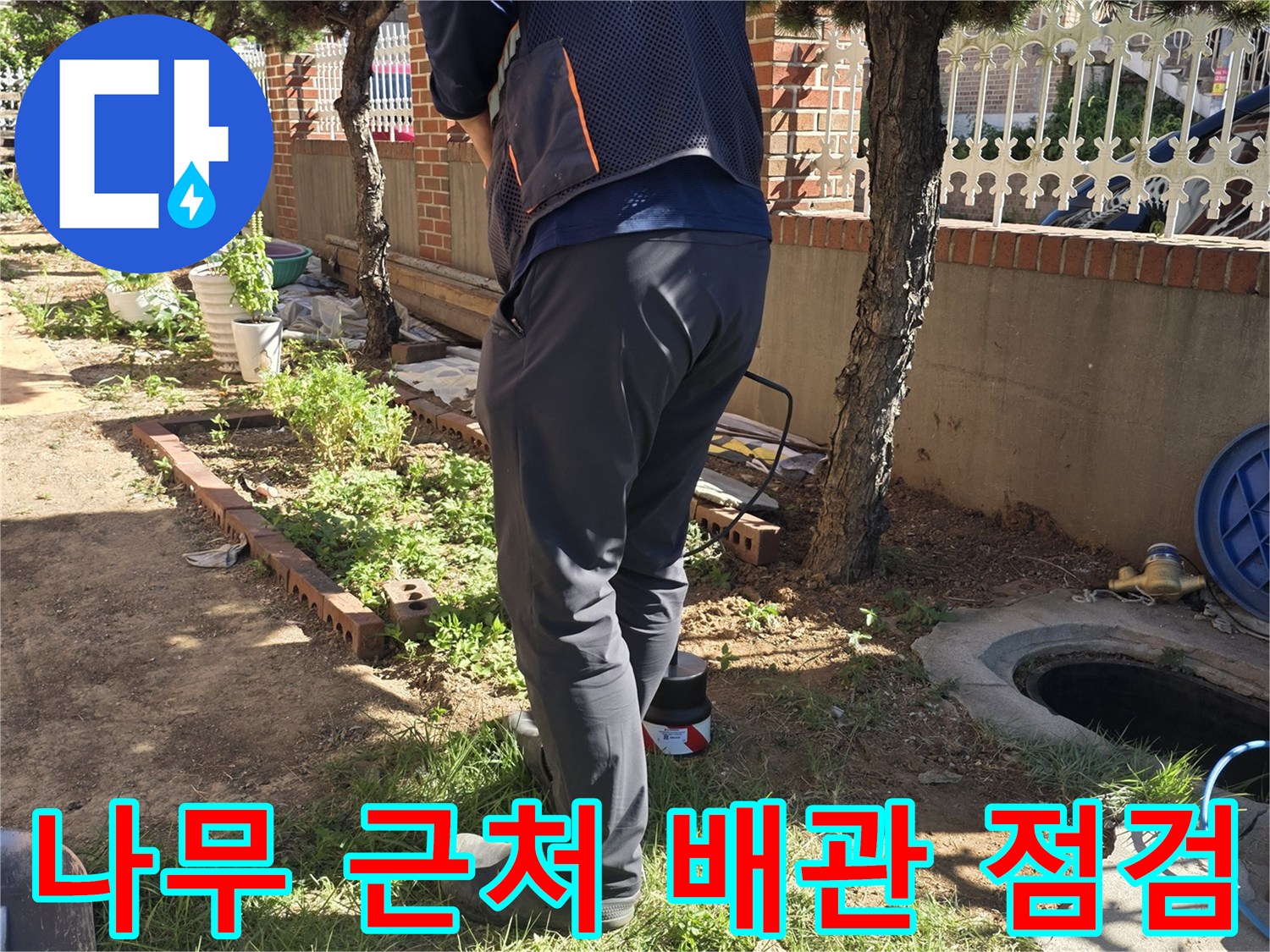 인천 서구 원당동-마당 나무 주변 배관 누수 지점 확인 작업