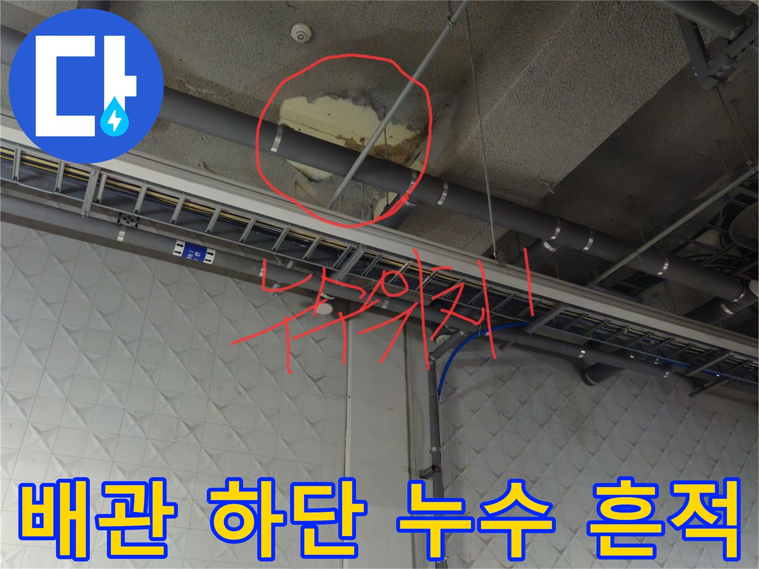 천장 배관 주위의 물샘 및 콘크리트 변색 부위 확인