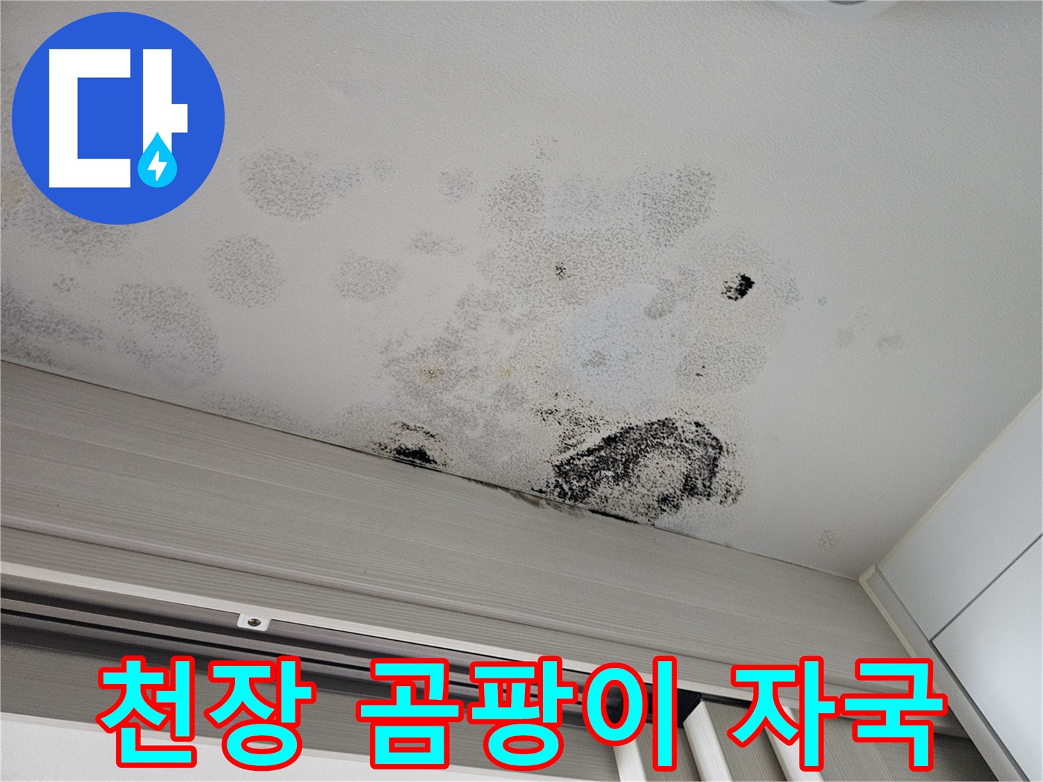 천장 마감재에 나타난 광범위한 곰팡이와 물 번짐 흔적