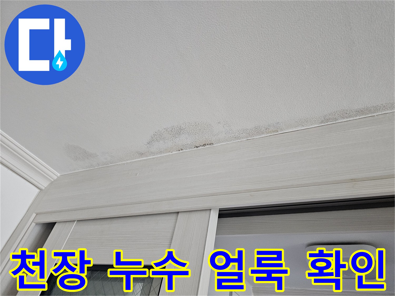 천장 마감재에 나타난 물샘 흔적과 젖은 부위 상세 사진