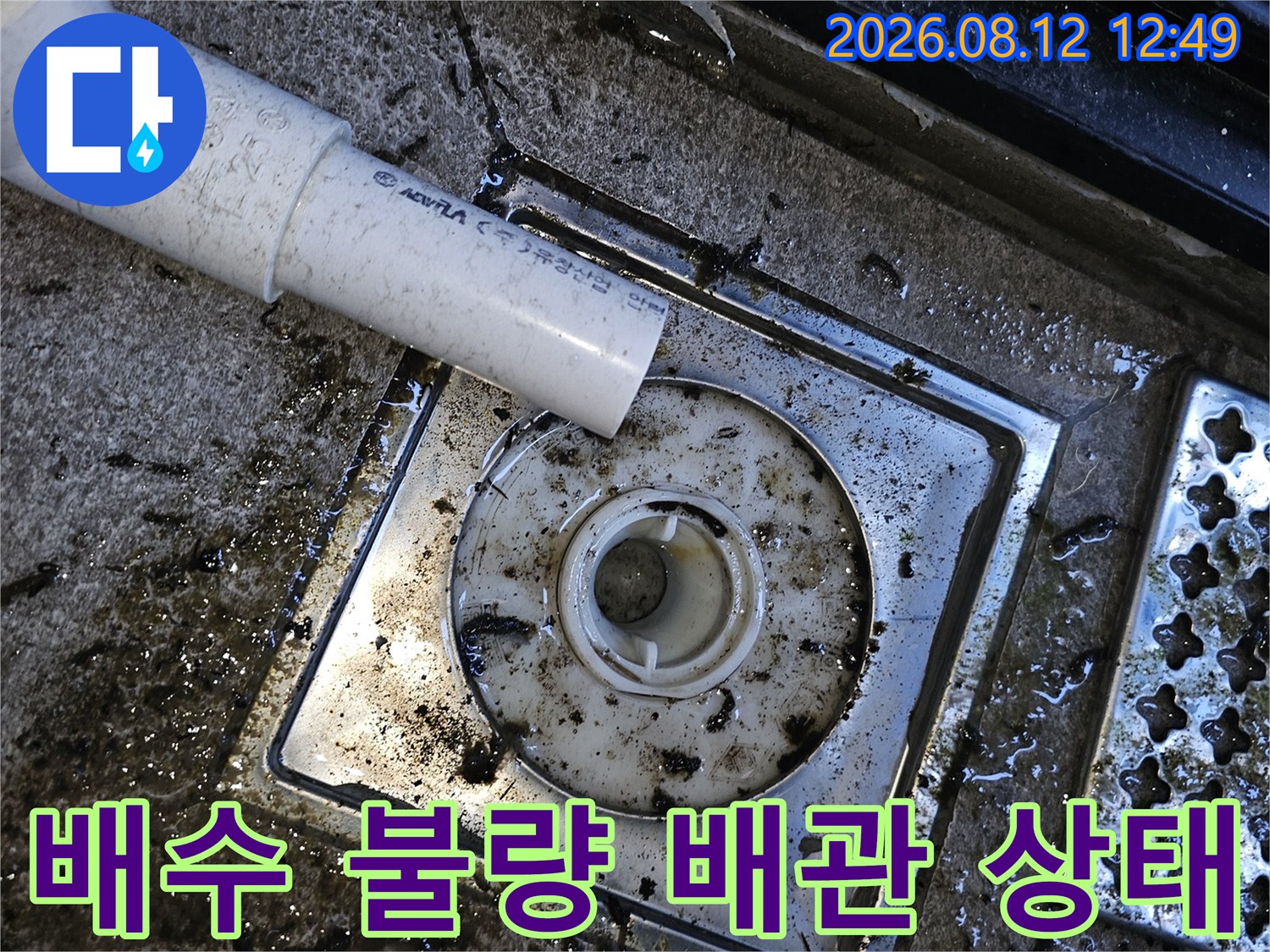 배수 호스 주변에 고여 있는 오염된 물