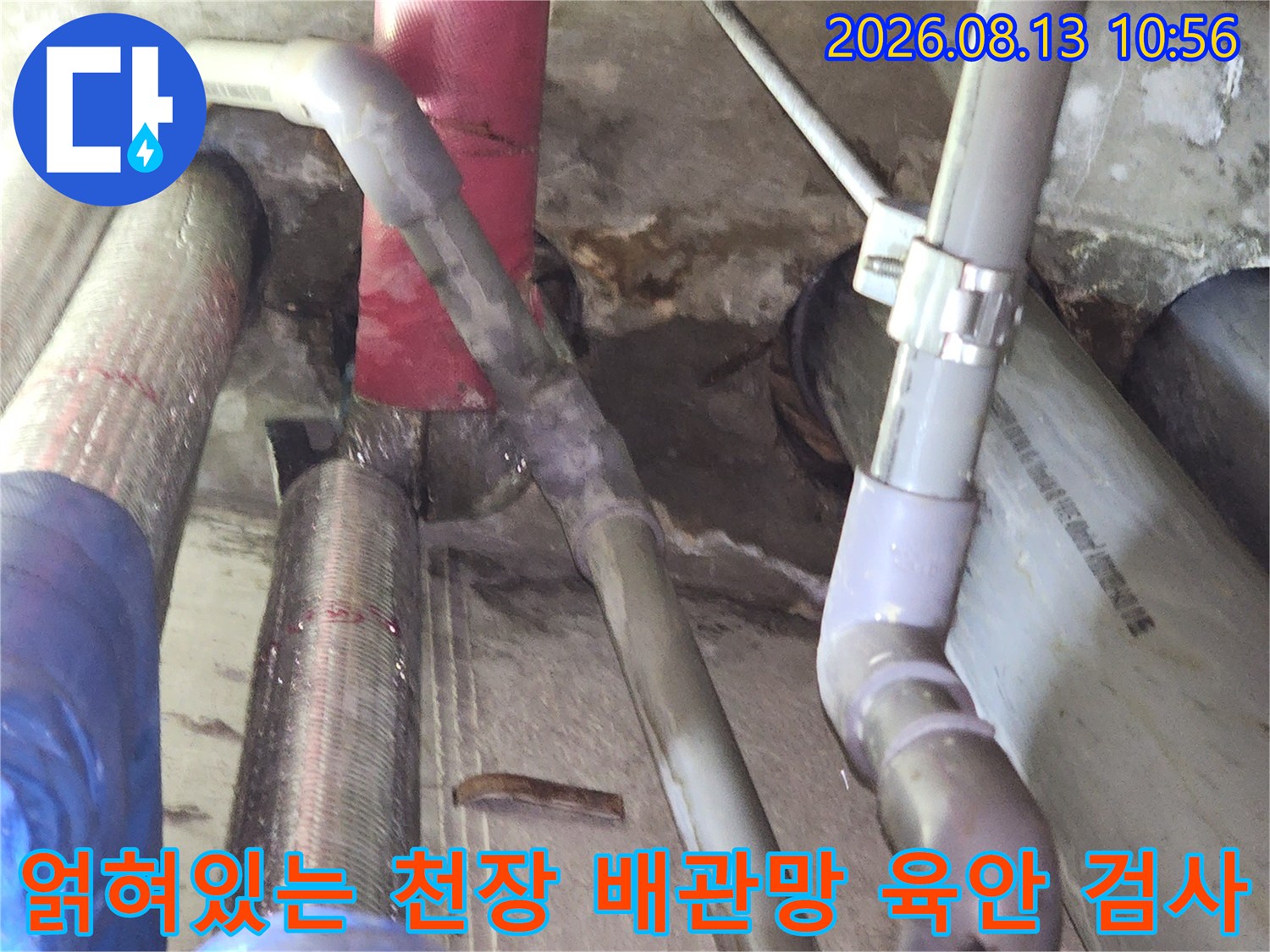 회색 PVC 배관과 분홍색 배관이 복잡하게 설치된 천장 내부-누수 탐지 과정