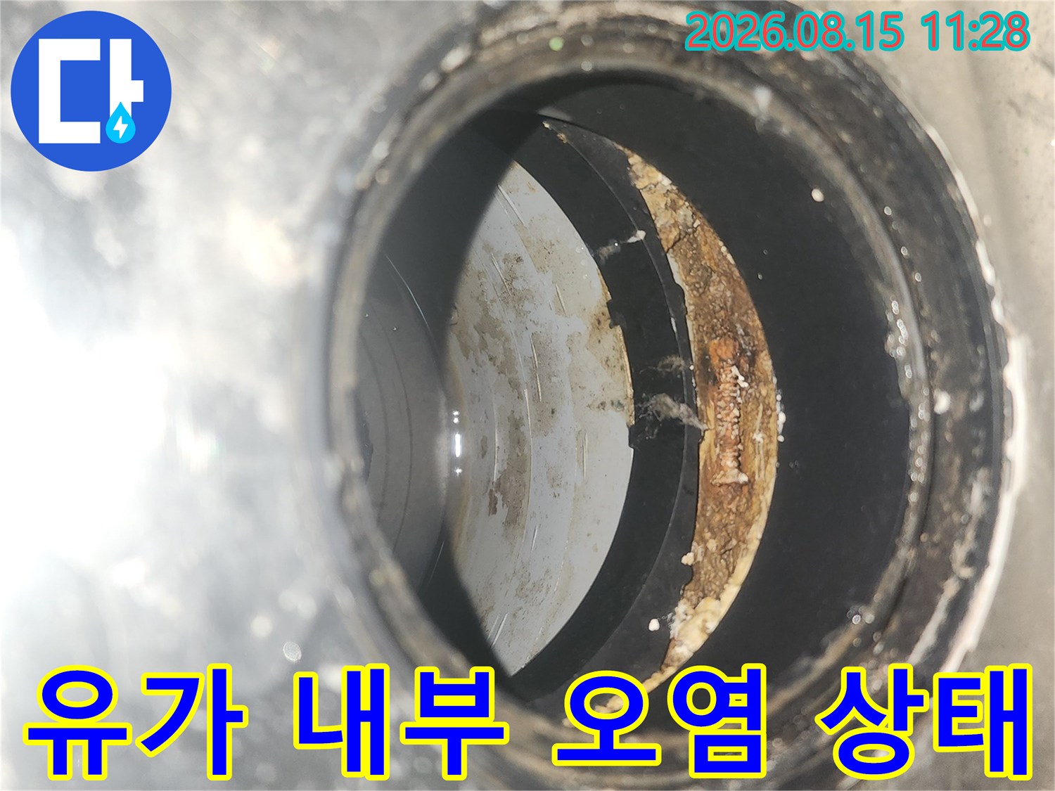배수구 유가 내부의 찌꺼기와 오염된 상태를 보여주는 사진입니다.