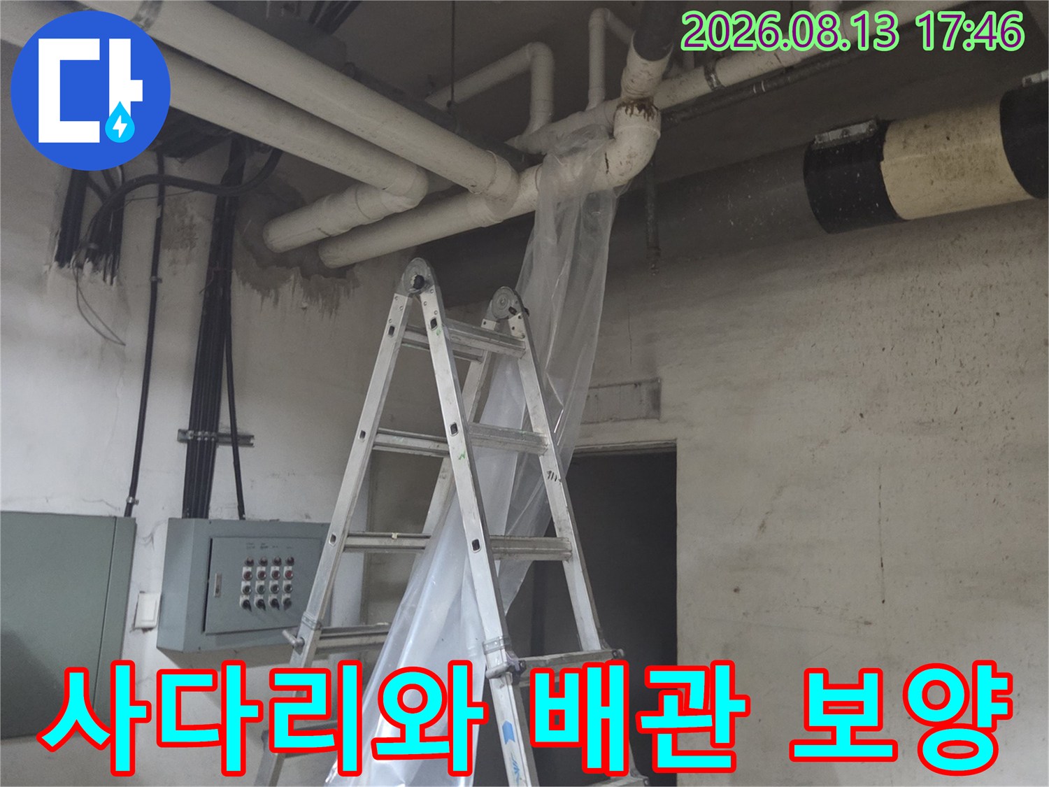사다리를 설치하고 오수 배관 주변에 비닐 보양재를 씌운 현장 상황