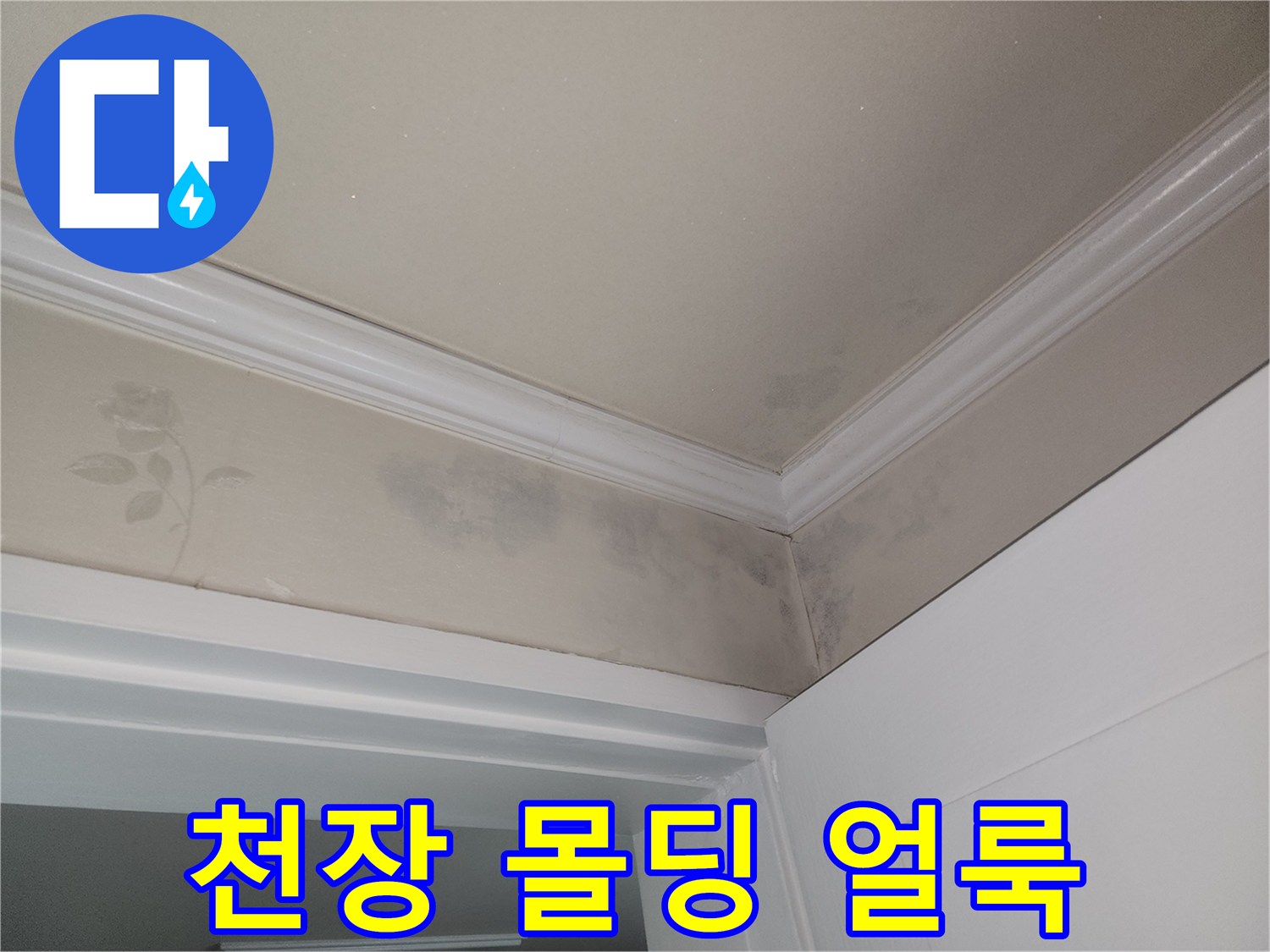 아파트 천장 몰딩 부근에 발생한 짙은 색의 누수 흔적과 습기 상태