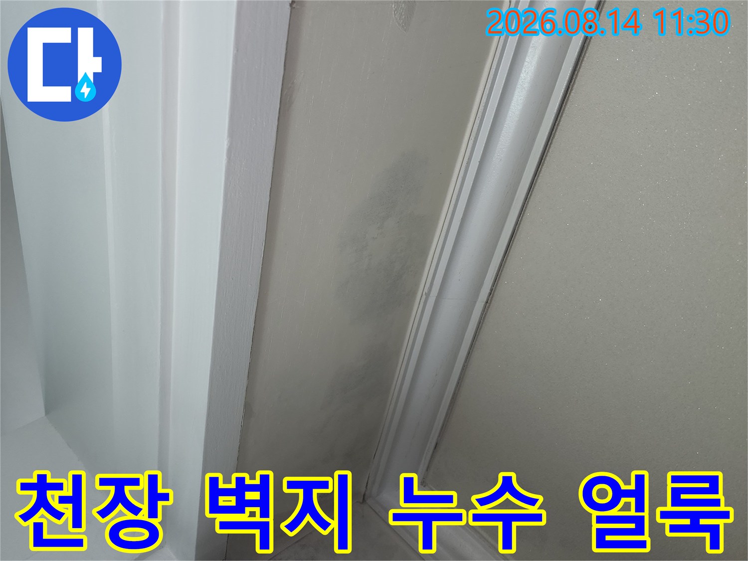 안양 동안구 아파트 천장 벽지에 발생한 어두운 누수 흔적과 곰팡이 상태