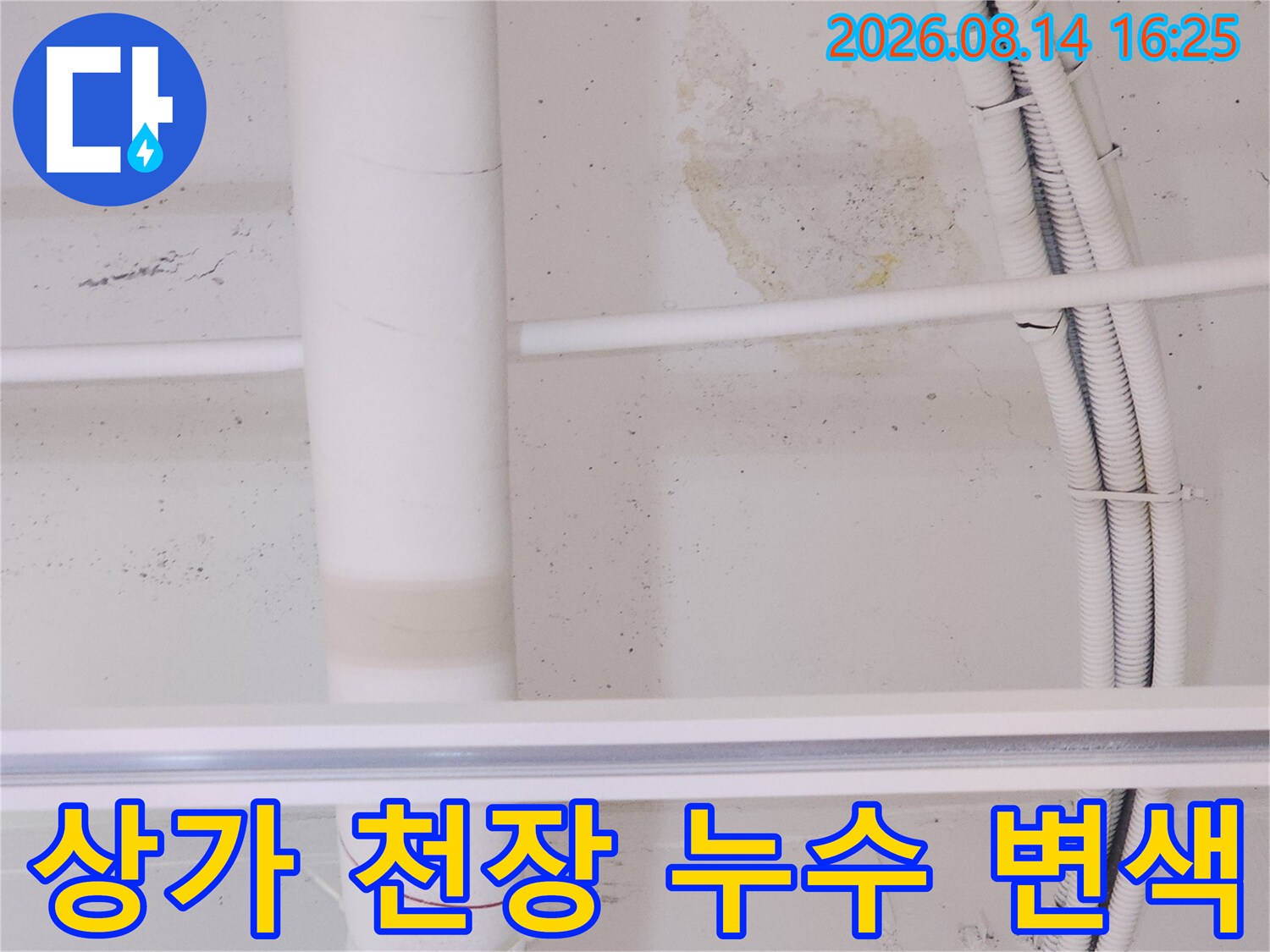 고양시 덕양구 상가 건물-천장 배관 주변에 발생한 누수 흔적과 얼룩 현황입니다.