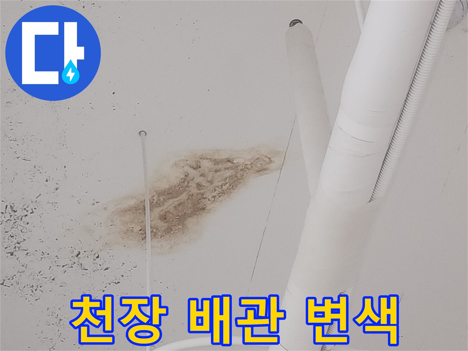 식당 아래층-천장 배관 주변의 누수 오염