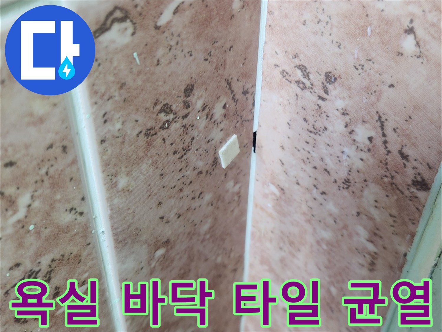 성내동 현장-타일 사이의 습기 및 오염 상태