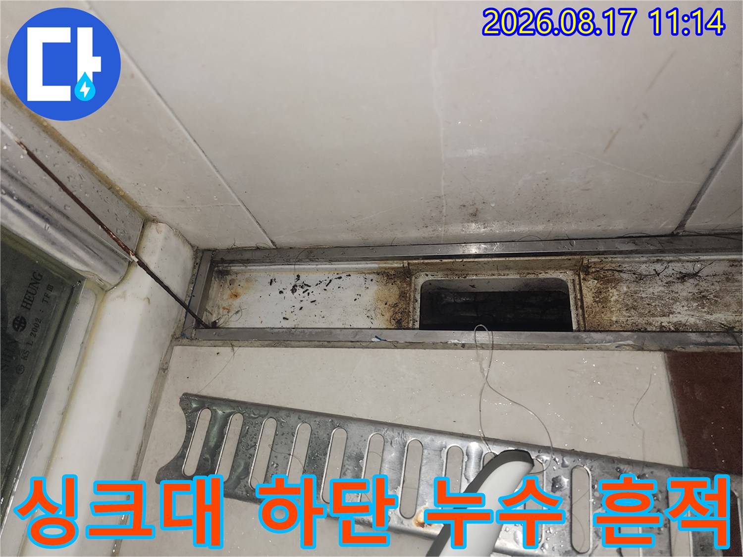배관 주변의 검은 곰팡이와 물기가 스며든 싱크대 내부 모습