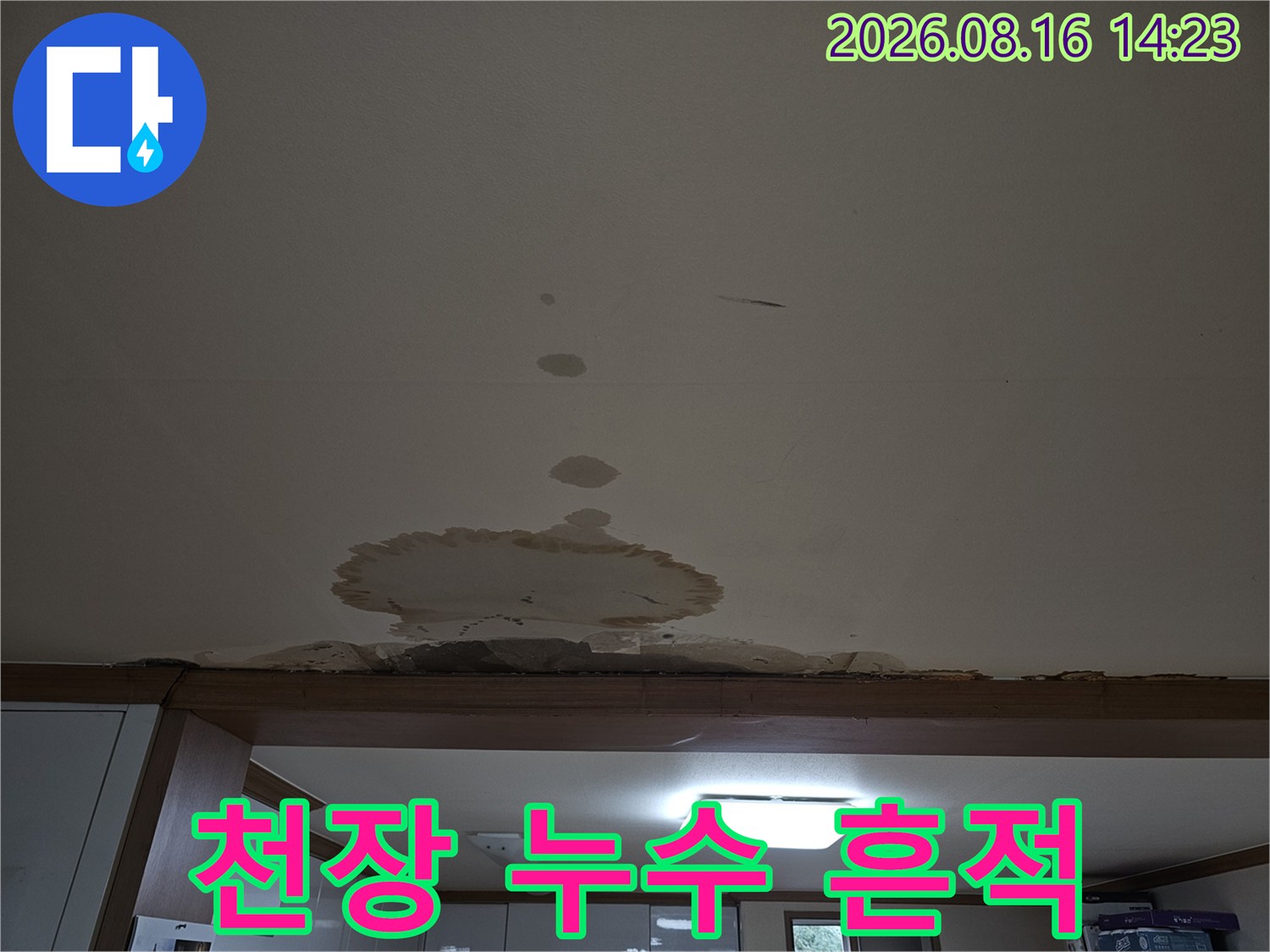 천장 마감재에 나타난 광범위한 물 얼룩과 습기 자국