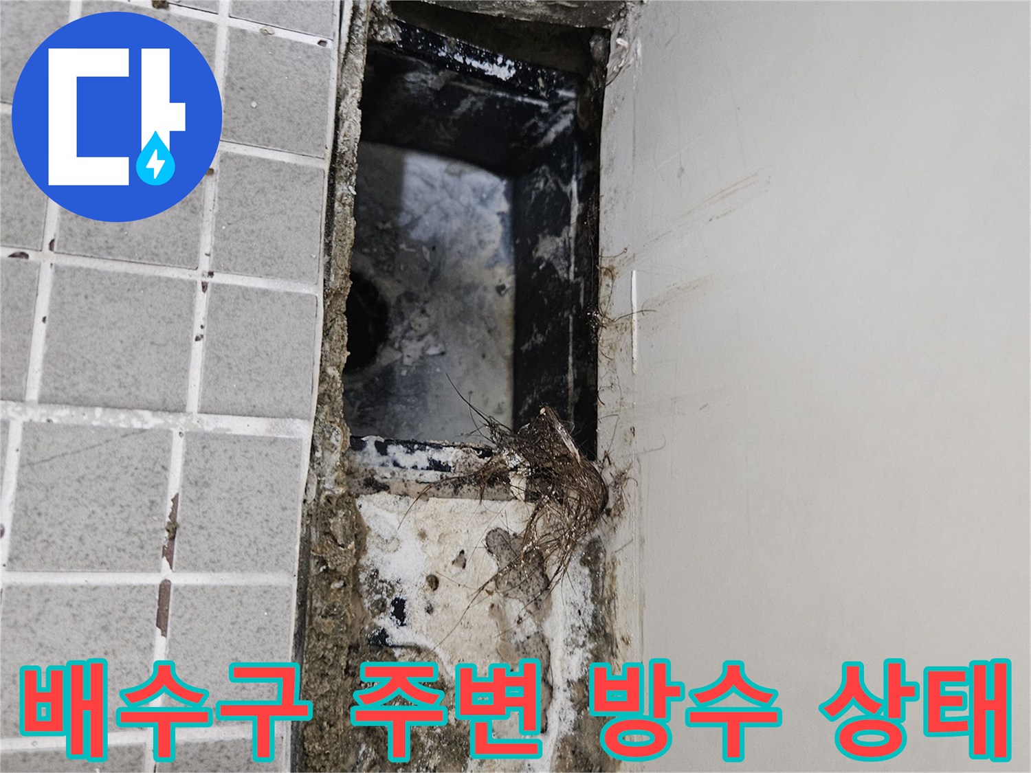 양주 옥정동 화장실 배수구 유가 주변의 파손된 방수층 모습