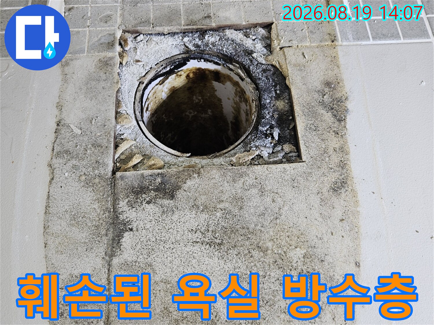 유가 탈거 후 드러난 곰팡이와 습기가 가득한 배관 주변 부위