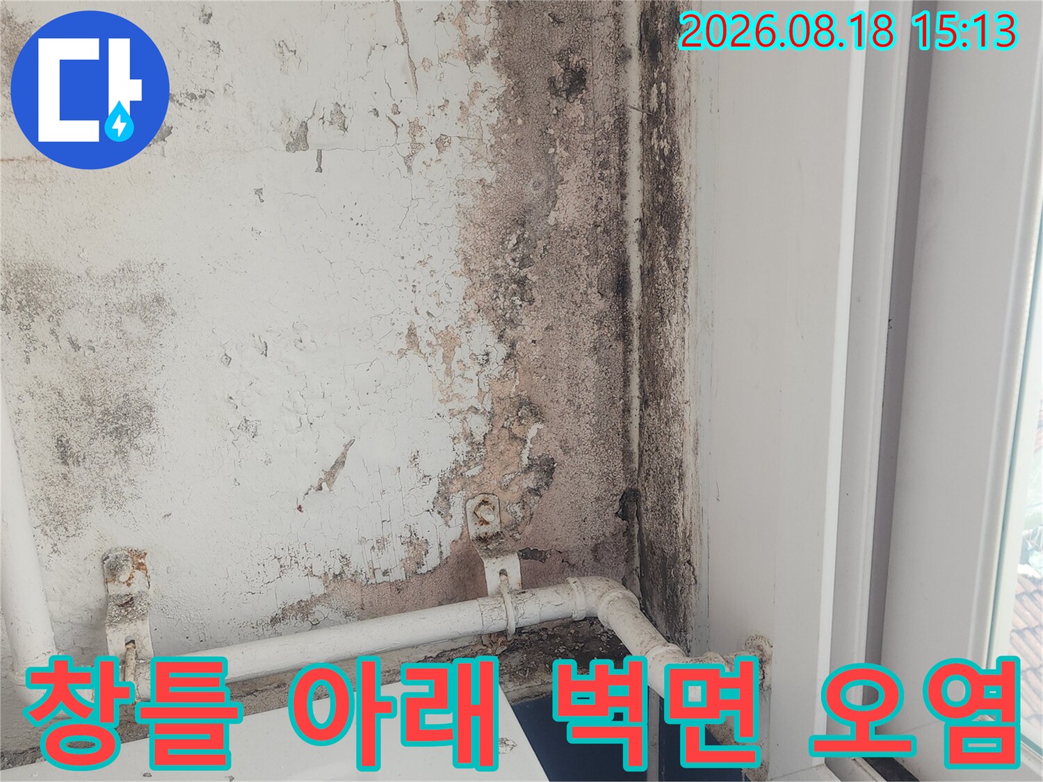 흰색 배관 주변으로 넓게 퍼진 젖은 듯한 벽면 얼룩과 곰팡이
