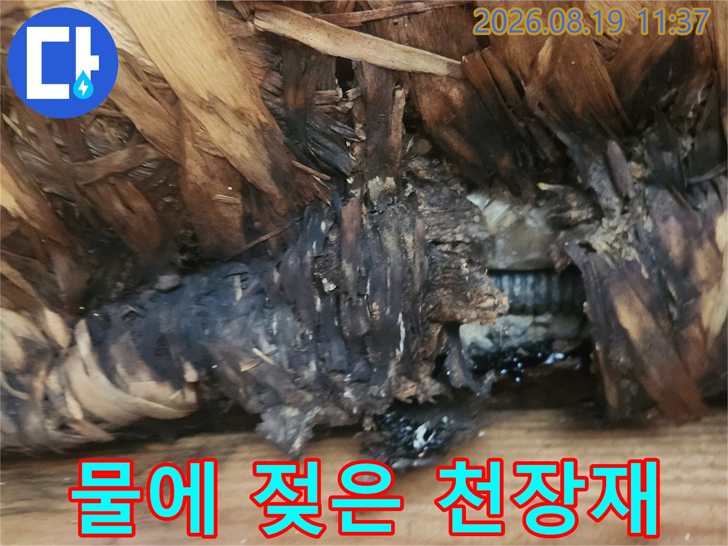 습기가 스며들어 어둡게 변한-천장 마감 부근의 나무 자재