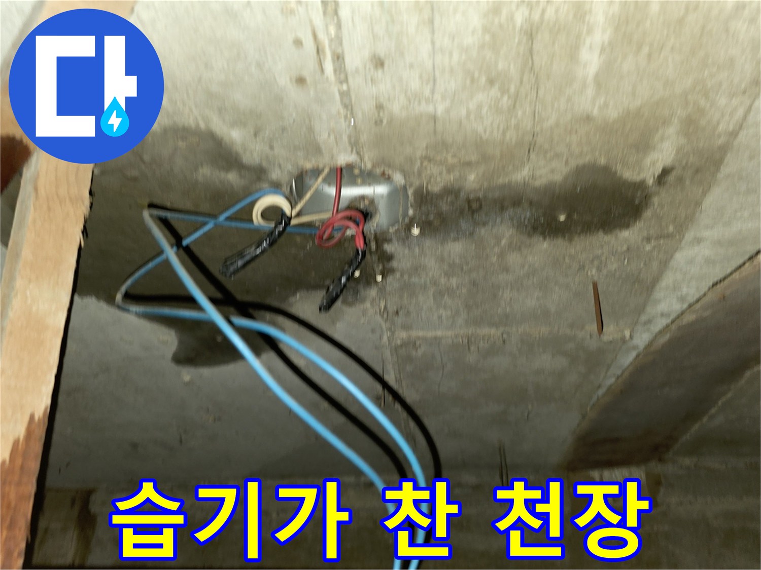 배관 주변 콘크리트의 곰팡이와 축축한 물자국 현황