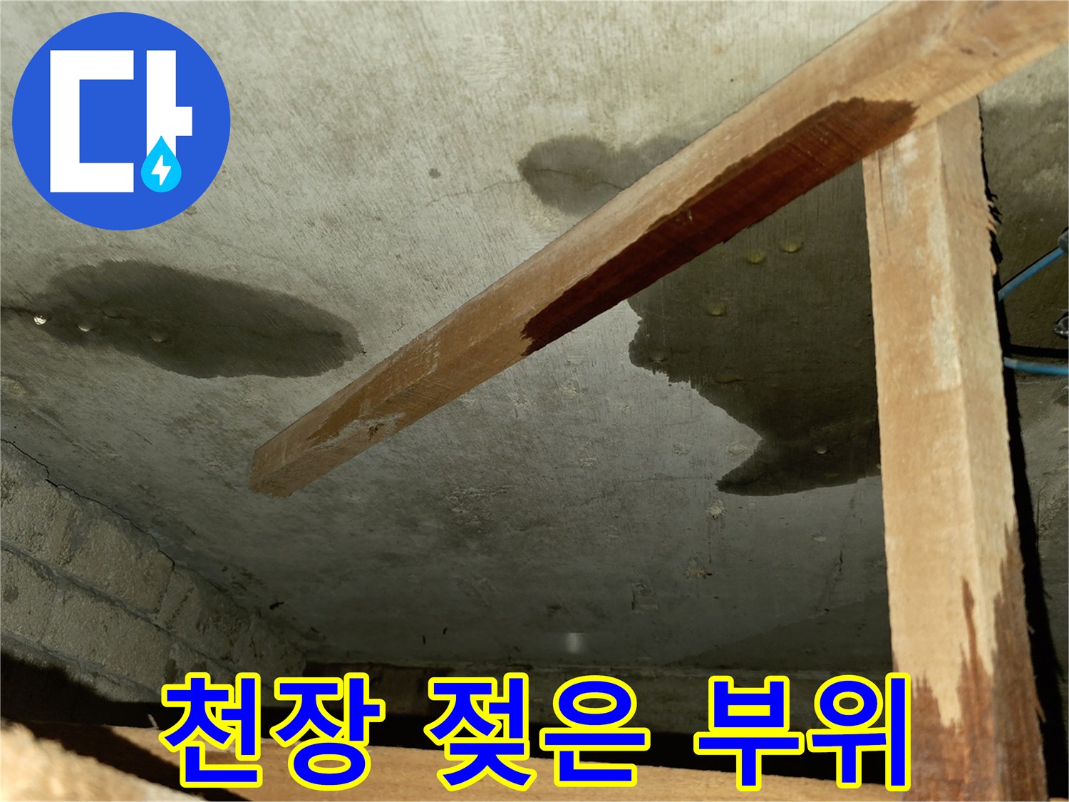 콘크리트 천장-넓게 퍼진 물 얼룩과 습기로 인한 변색 부위를 촬영한 사진입니다.