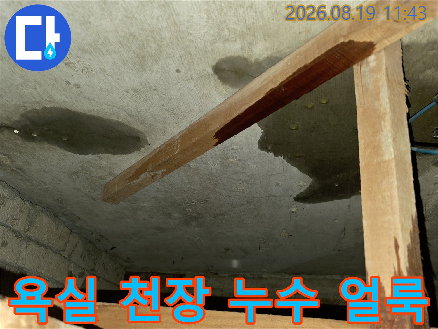 포천 신읍동 빌라-욕실 천장에 발생한 짙은 누수 흔적과 습기 상태