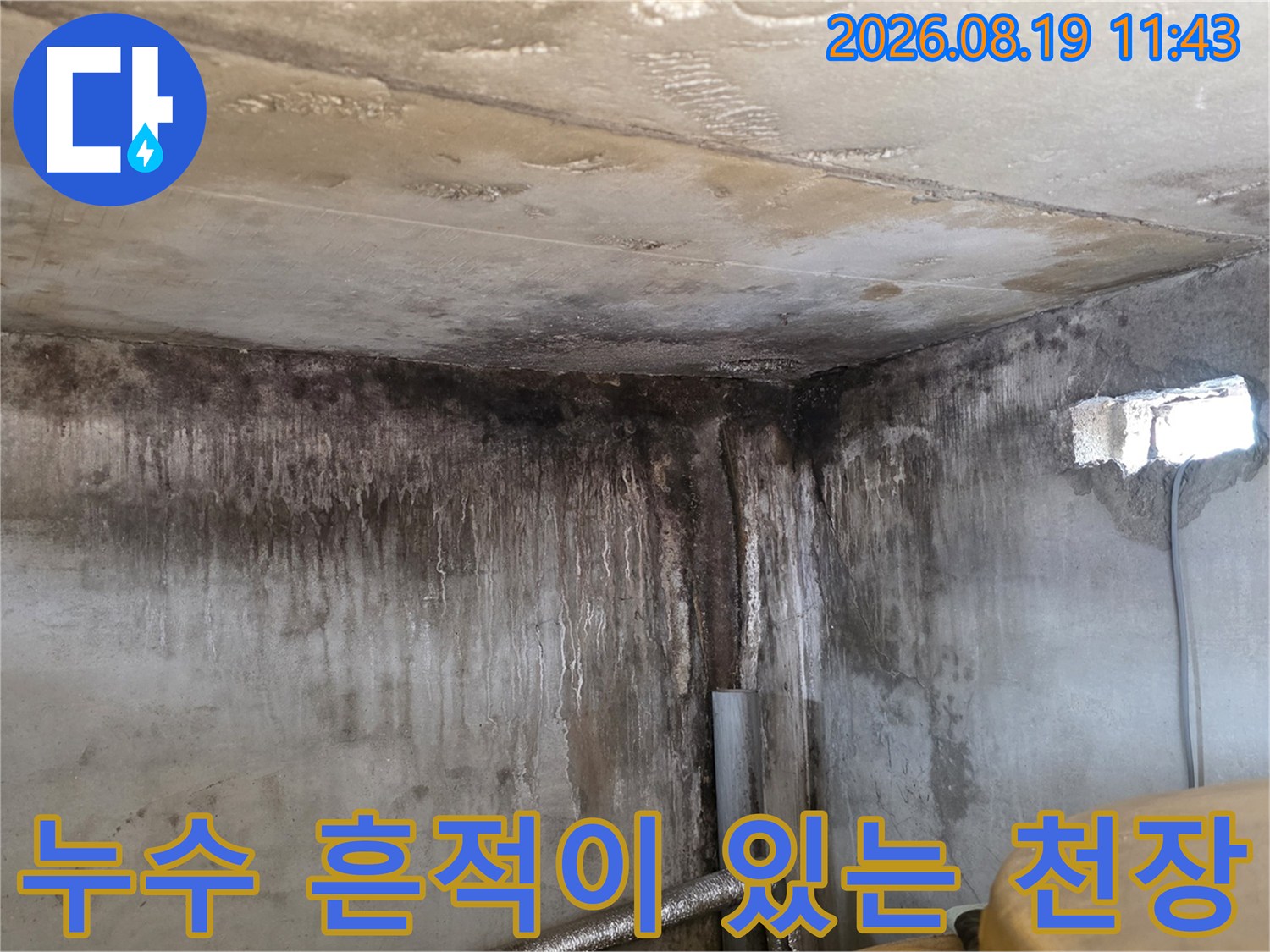 포천 신읍동 현장-습기와 곰팡이로 오염된 욕실 내부 벽면
